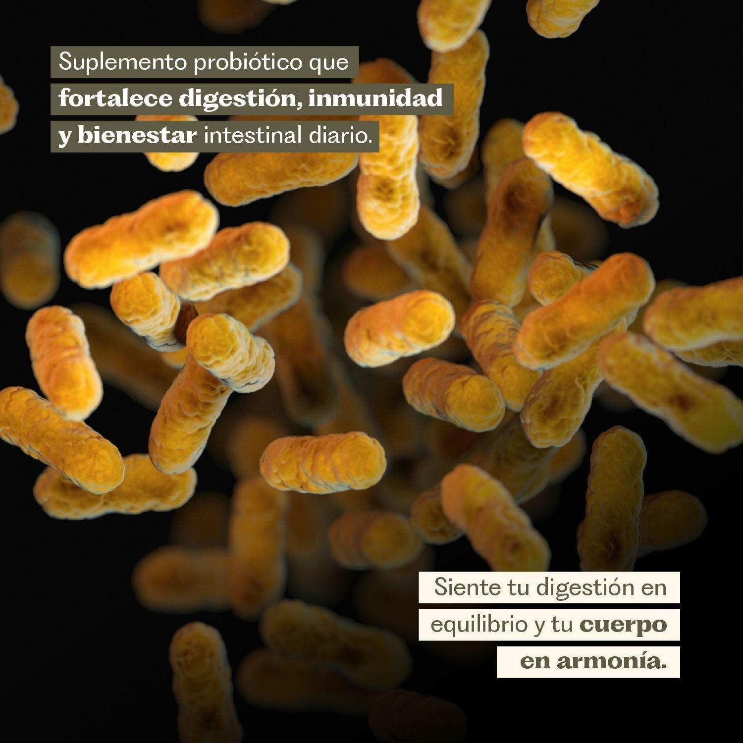 Pack X2 Probi tico Digestivo 120 Capsulas Karun Life-5