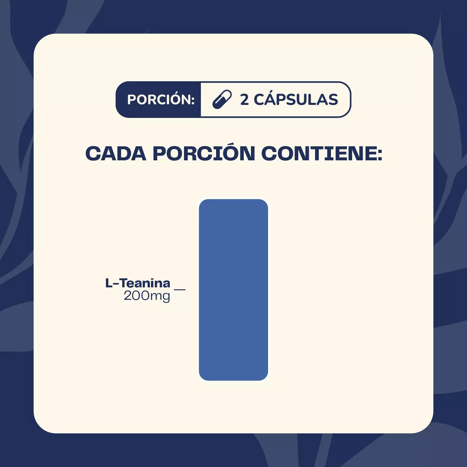 Pack X2 L Teanina 200 Mg 120 Capsulas Karun Life-4