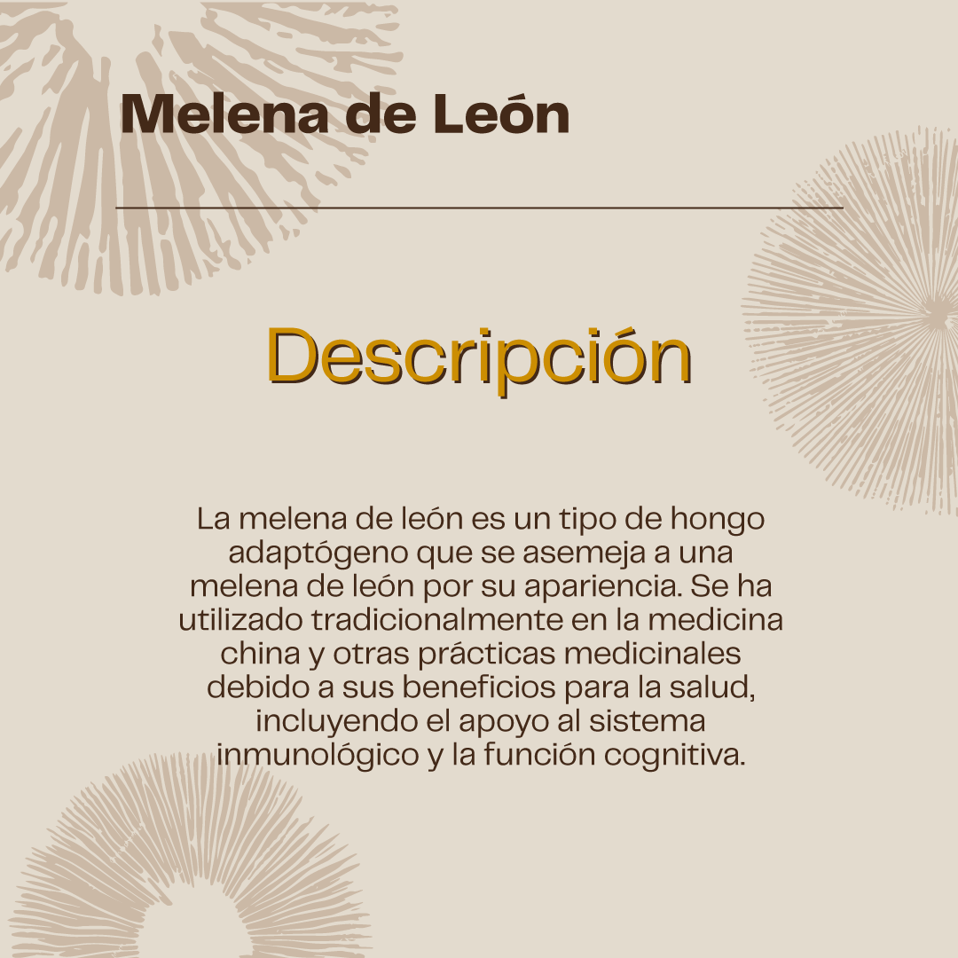 Melena De Leon Hongo 500mg - 120 Cap Vegetales - Memoria Karun Life-2