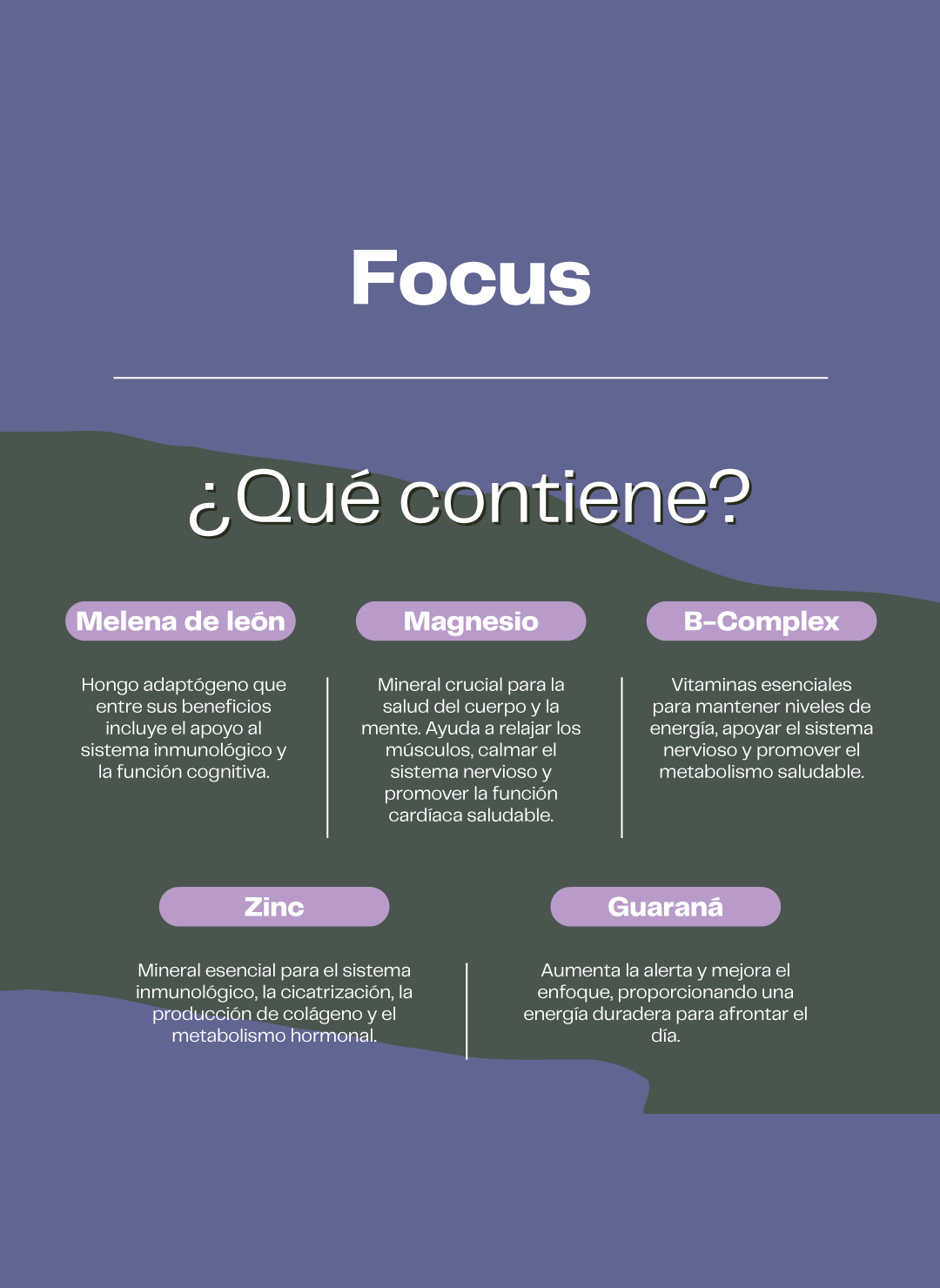 Focus Claridad Mental Y Cognitiva 60 Cap Karun Life-2