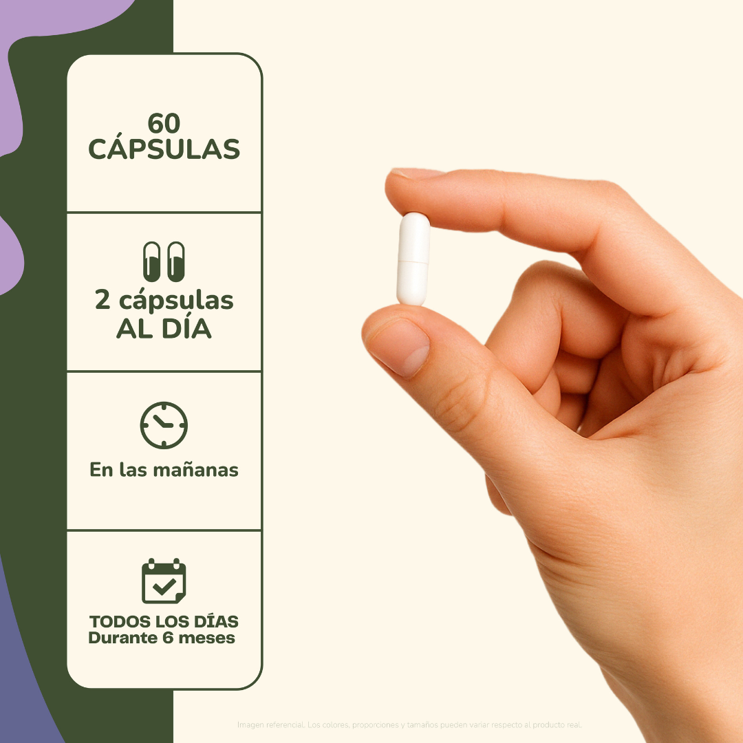 Focus Claridad Mental Y Cognitiva 60 Cap Karun Life-3