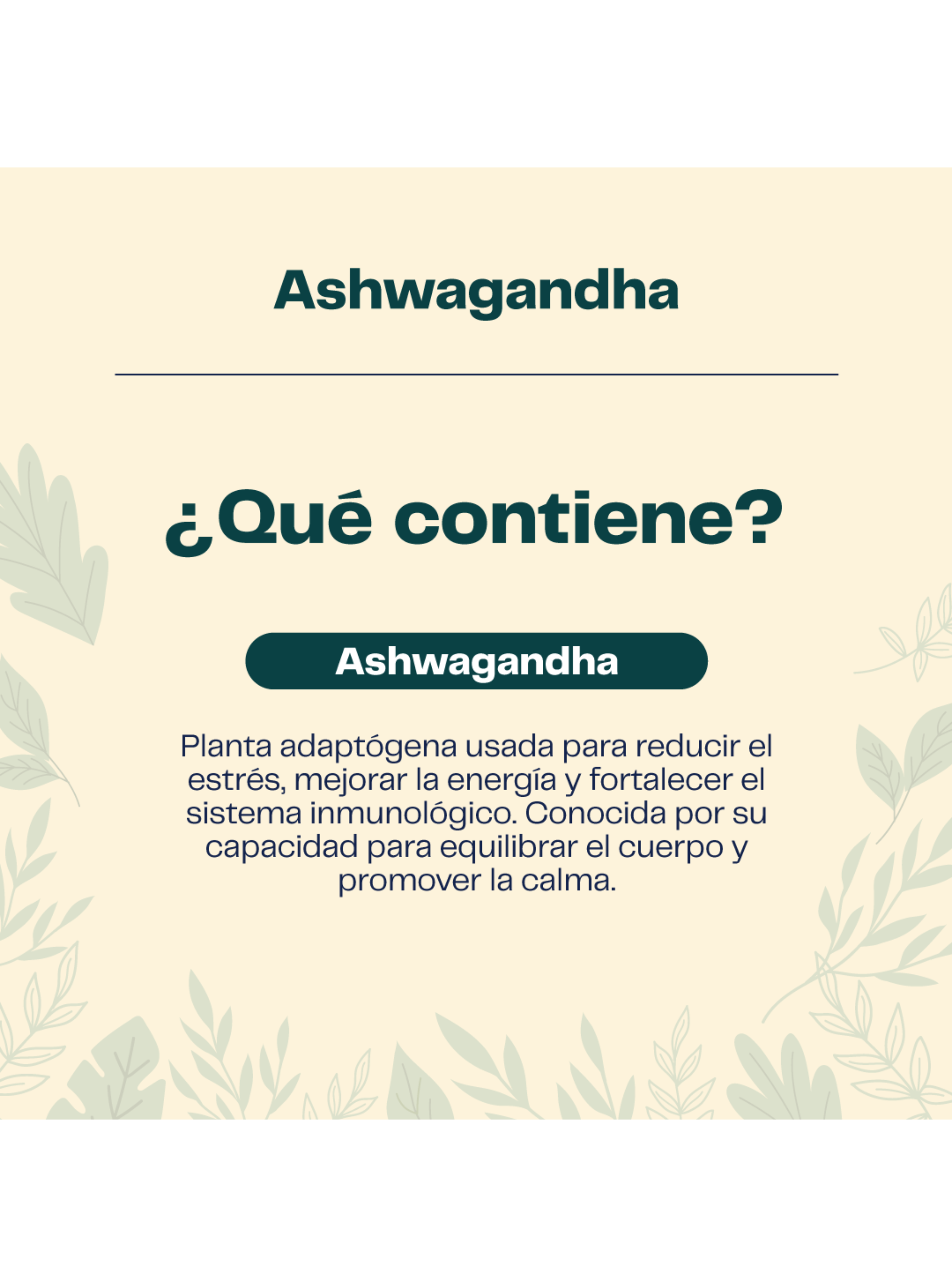 Pack Creatina 150 Gomitas + Ashwagandha 60 Cápsulas Karun Life-4