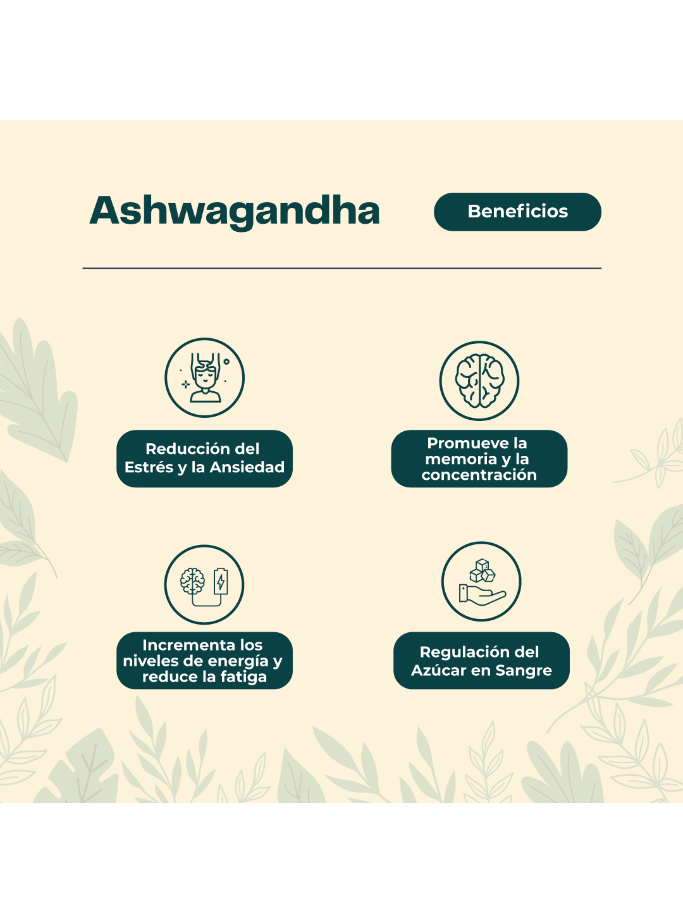 Pack Creatina 150 Gomitas + Ashwagandha 60 Cápsulas Karun Life-6