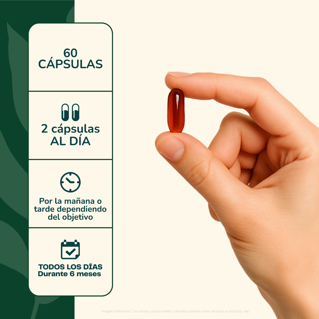 Pack Creatina 150 Gomitas + Ashwagandha 60 Cápsulas Karun Life-8