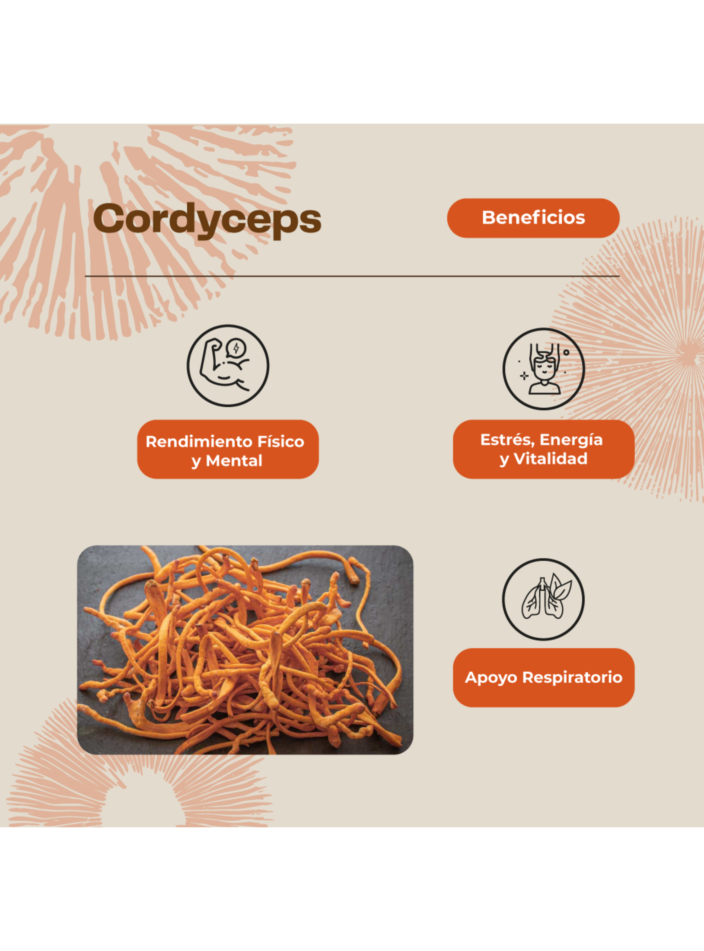 Pack Creatina 150 Gomitas + Cordyceps 60 Cápsulas Karun Life-6