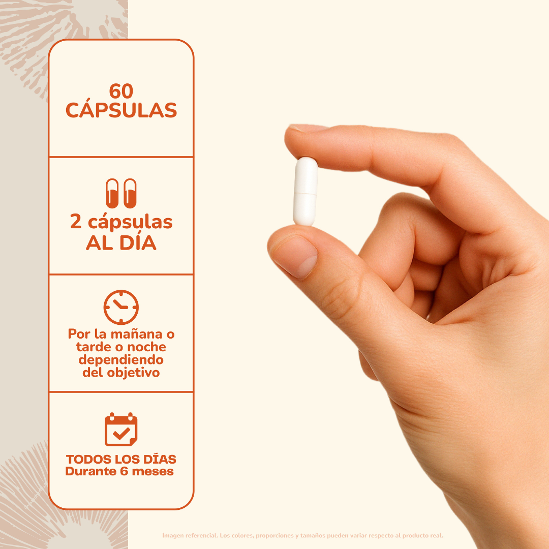 Pack Creatina 150 Gomitas + Cordyceps 60 Cápsulas Karun Life-9