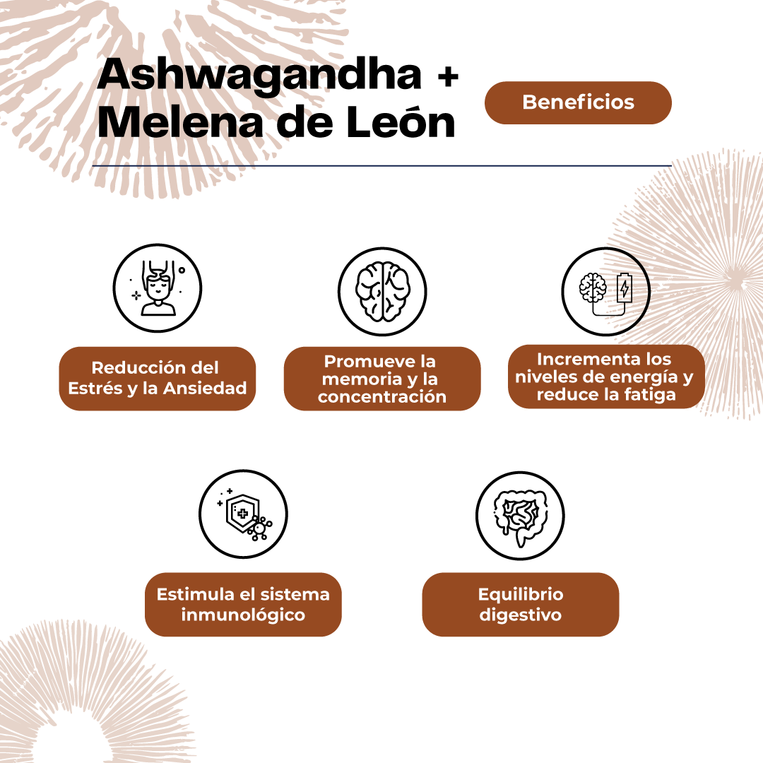 Extracto de Ashwagandha + Melena de Leon 30 Ml Karun Life-3