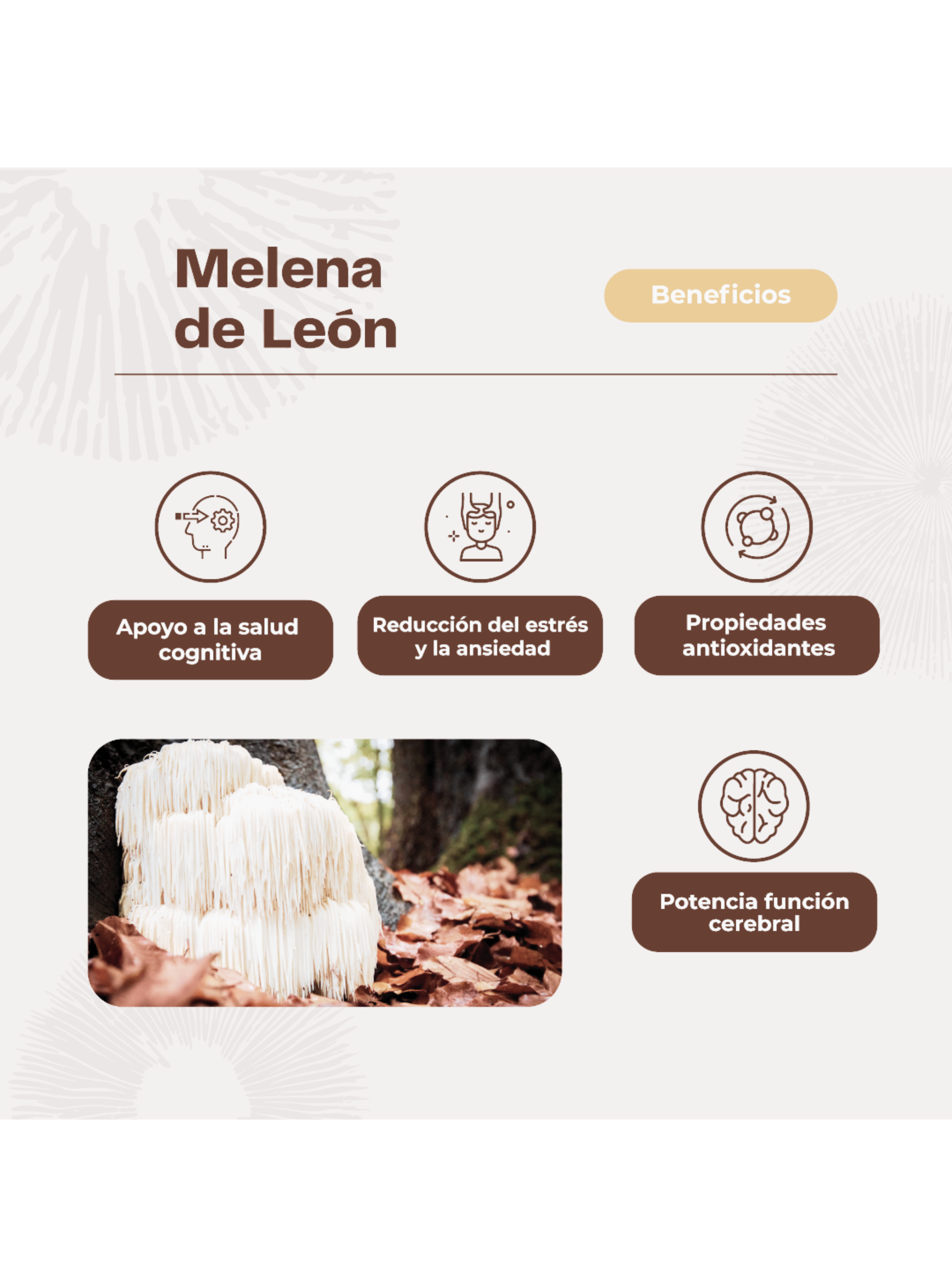 Pack x3 180 Gomitas Melena Leon Karun Life -3