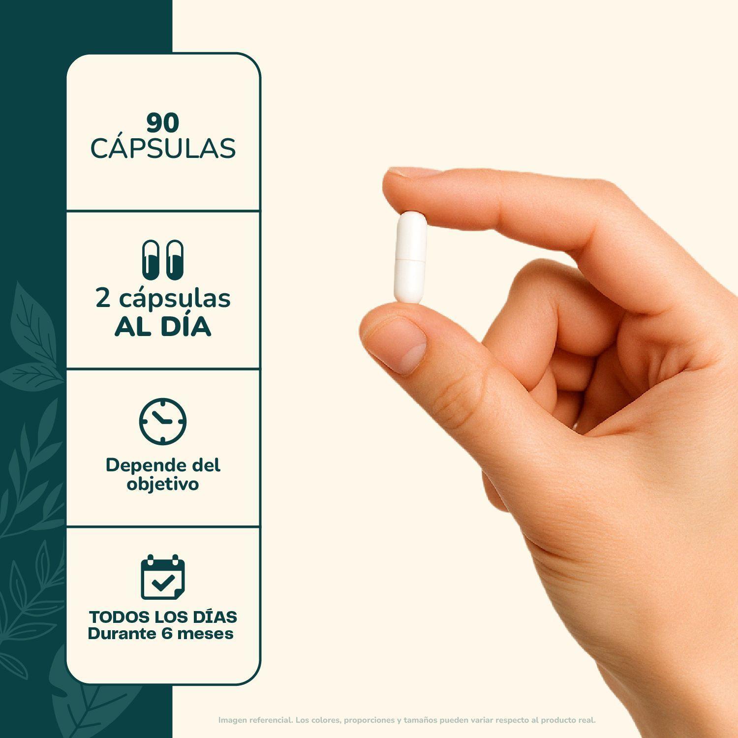 Pack Antiinflamatorio C rcuma Pimienta y Vinagre de Manzana 180 cap Karun Life-5
