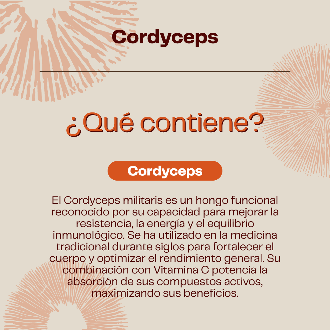 Cordyceps Hongo Extracto- 30ml - Energía- Karun Life-2