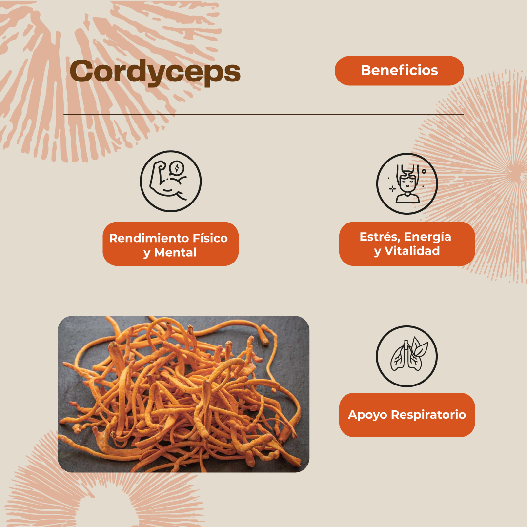 Cordyceps Hongo Extracto- 30ml - Energía- Karun Life-3