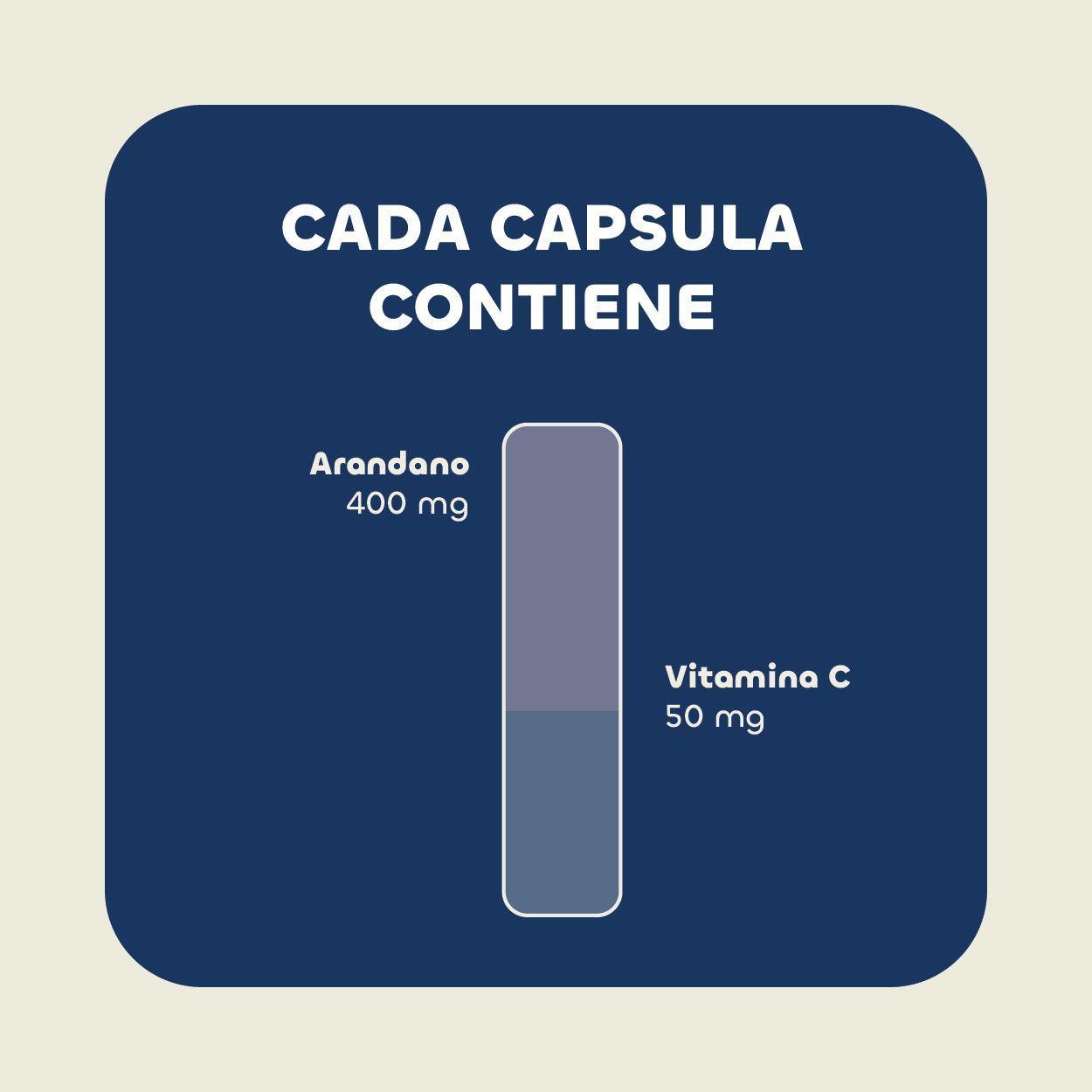 Cranberry + Vitamina C  90 Cápsulas Karun Life-2