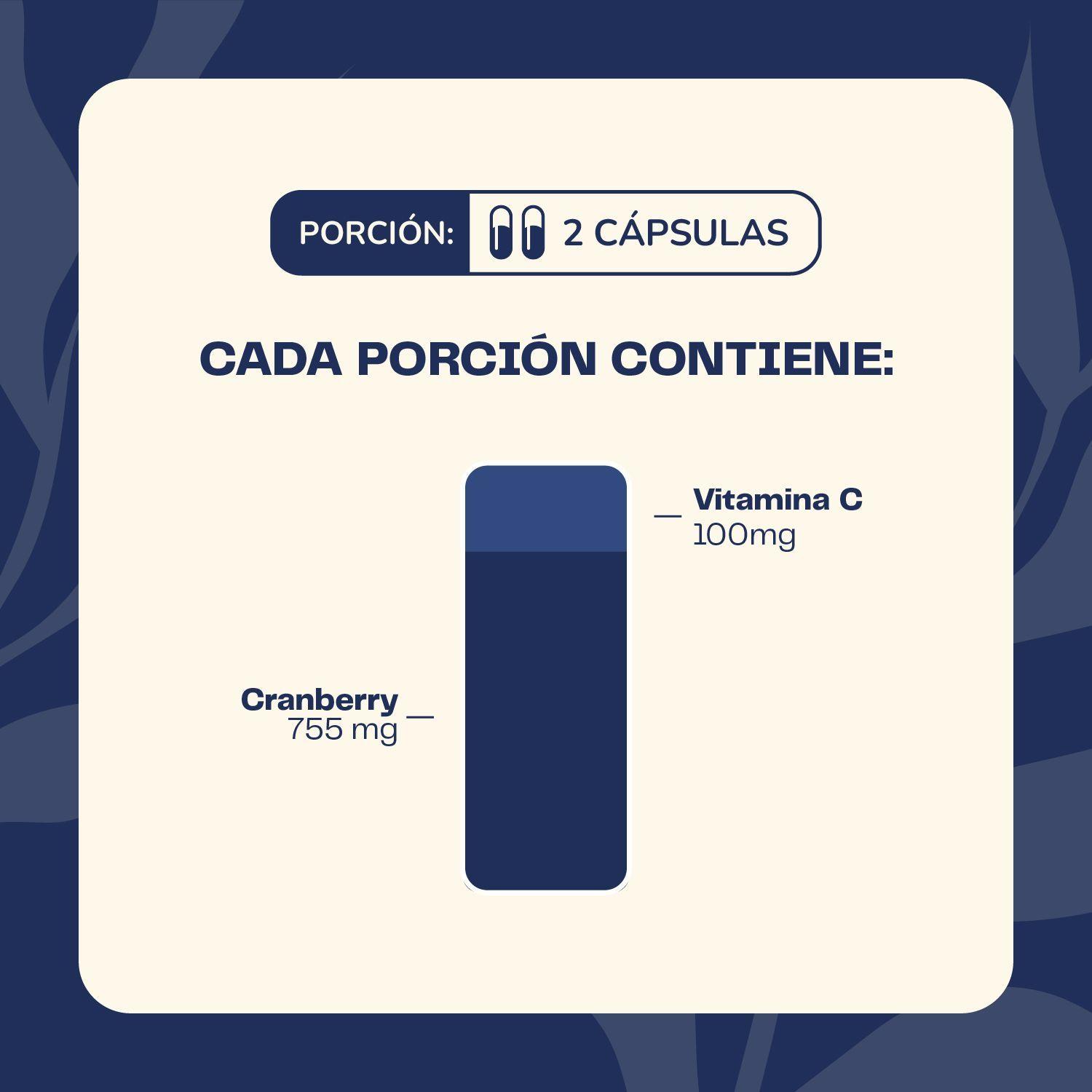 Cranberry + Vitamina C  90 Cápsulas Karun Life-4
