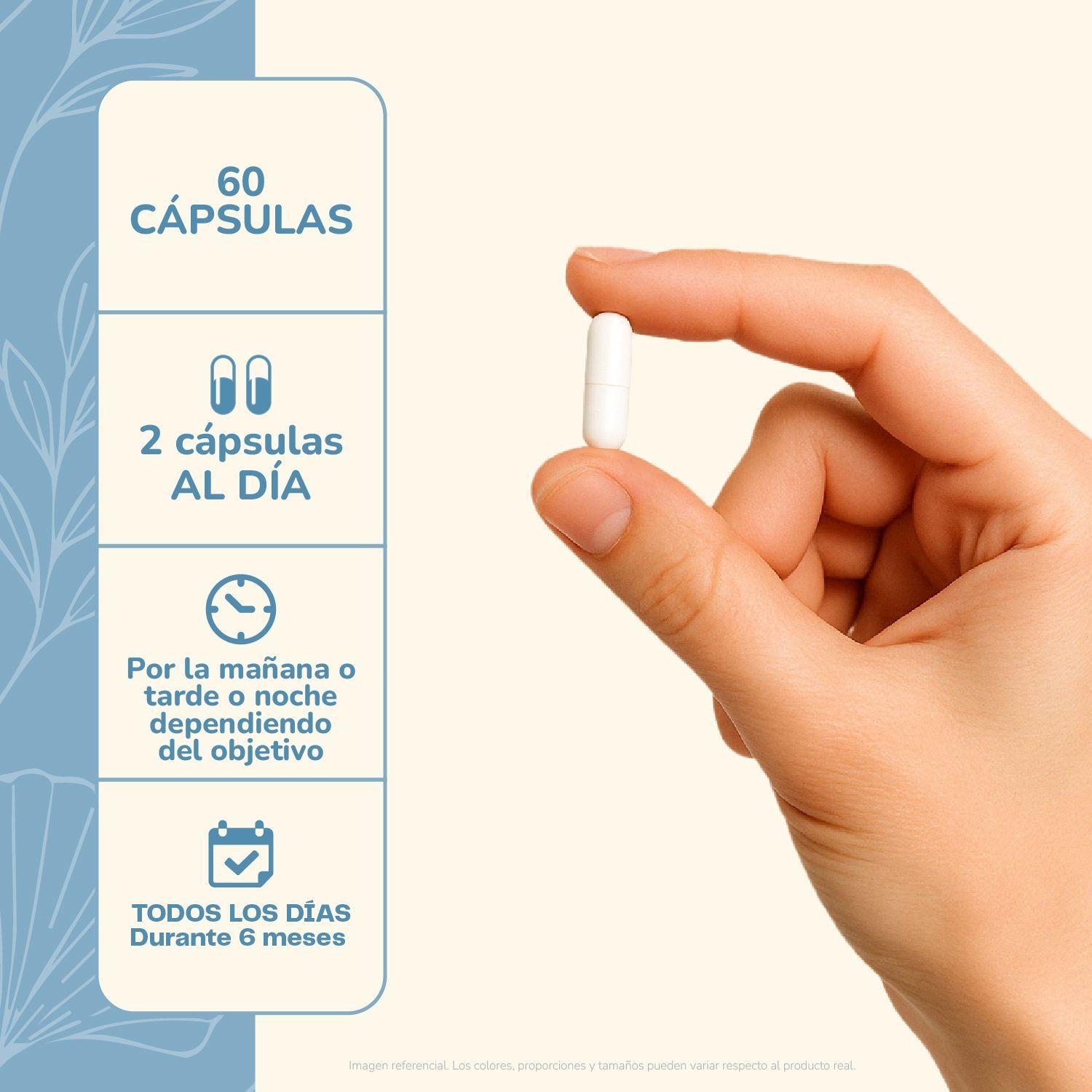 Probiotico Ultra 60 Cap Karun Life-3