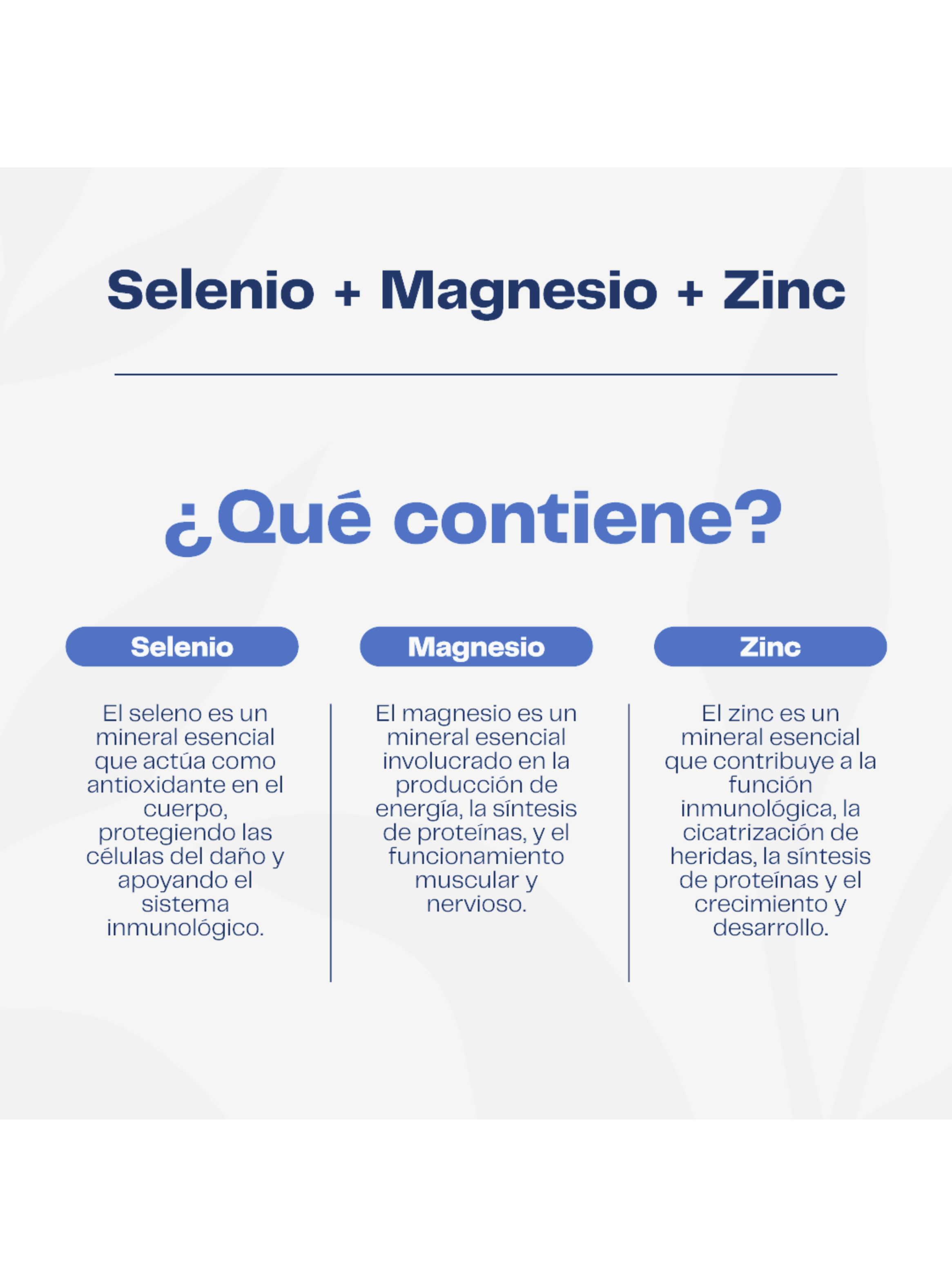 Pack x2 Selenio + Magnesio + Zinc 120 capsulas Karun Life -2