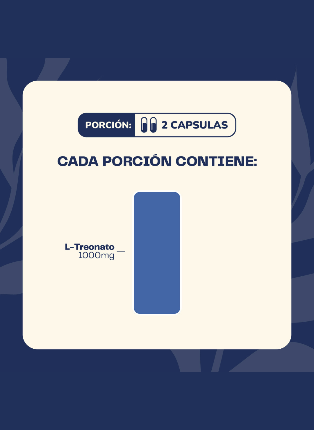 L Treonato De Magnesio 60 Cap Karun Life-2