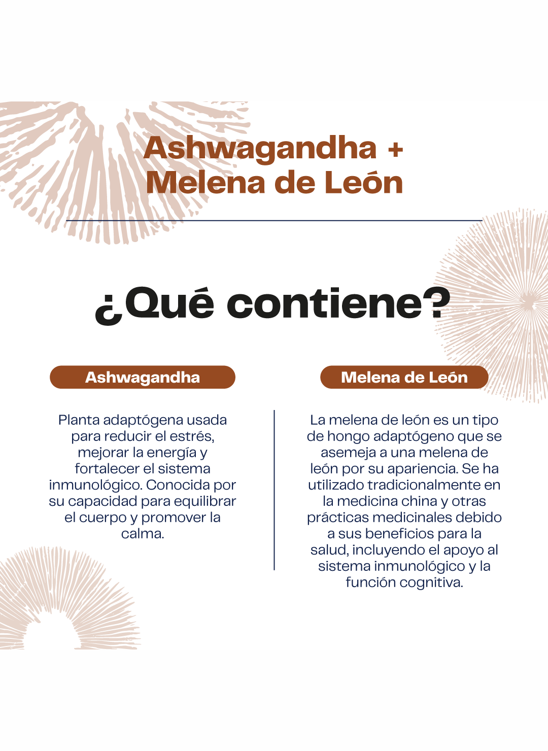 Pack 2 Extractos Ashwagandha + Melena Leon  60ml Karun Life-2
