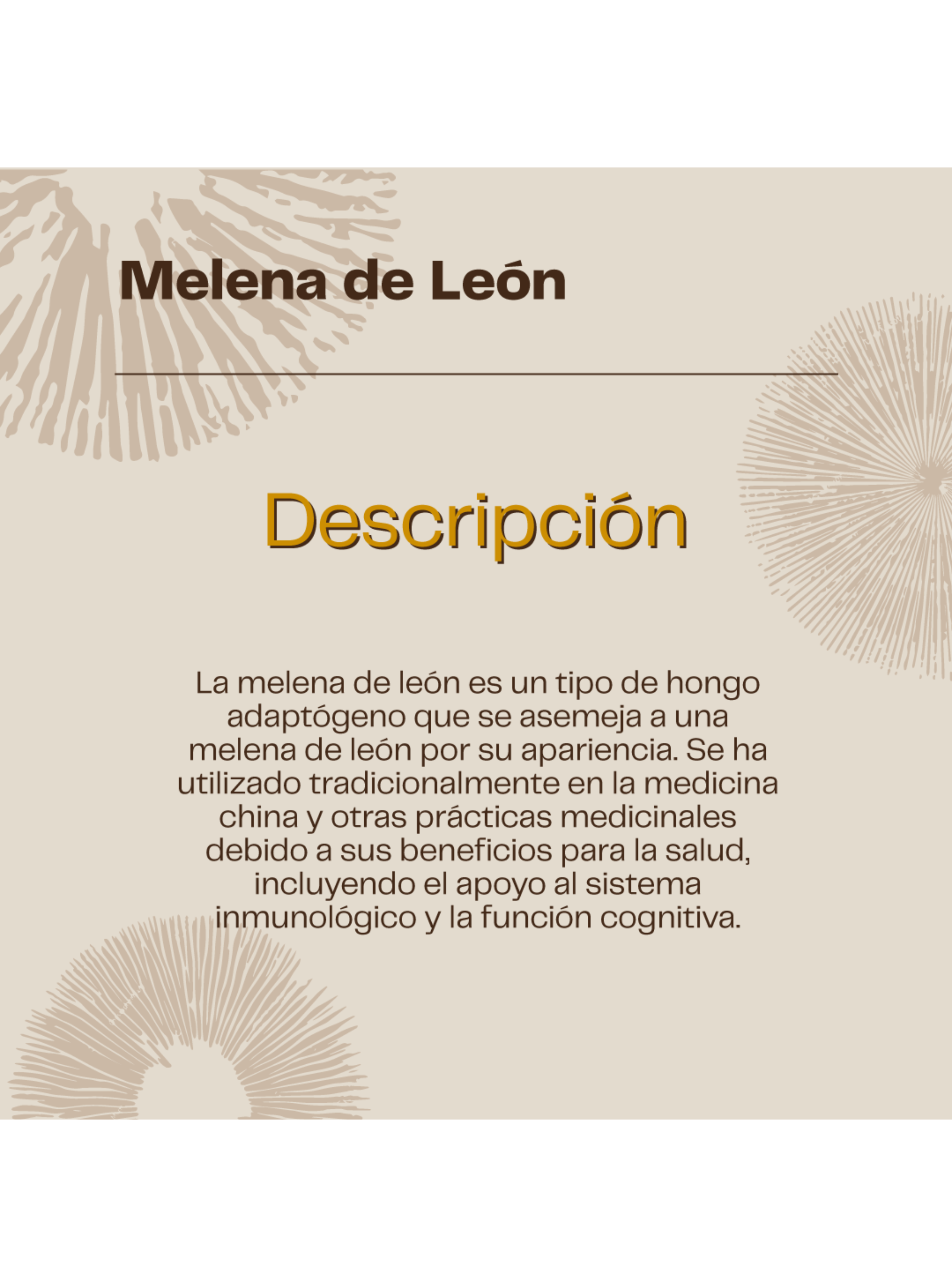 Pack Melena De Leon + Reishi - 120 Cápsulas Karun Life-3