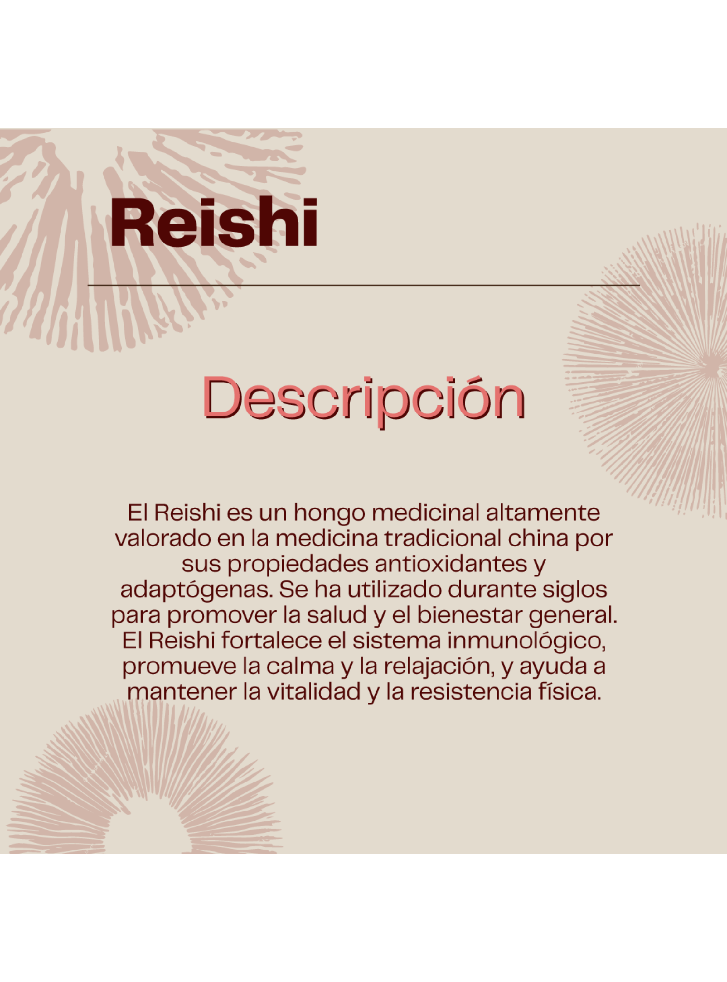 Pack Melena De Leon + Reishi - 120 Cápsulas Karun Life-4