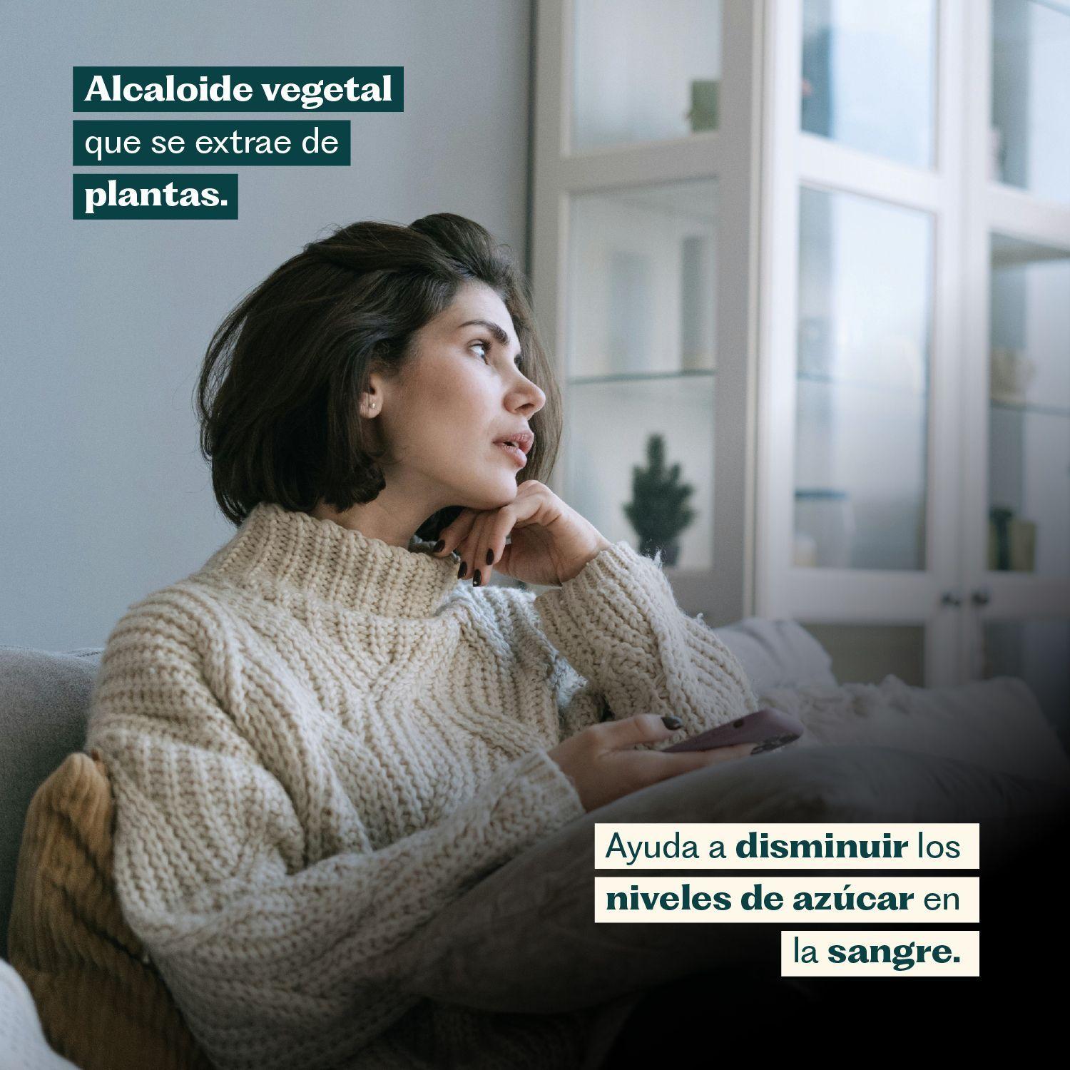 Berberina 60 Cápsulas Karun Life-2