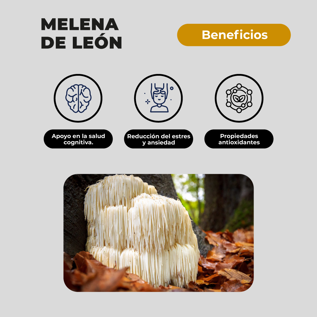 Pack 180 Capsulas: Melena De Leon - Reishi - Cola De Pavo Karun Life-5