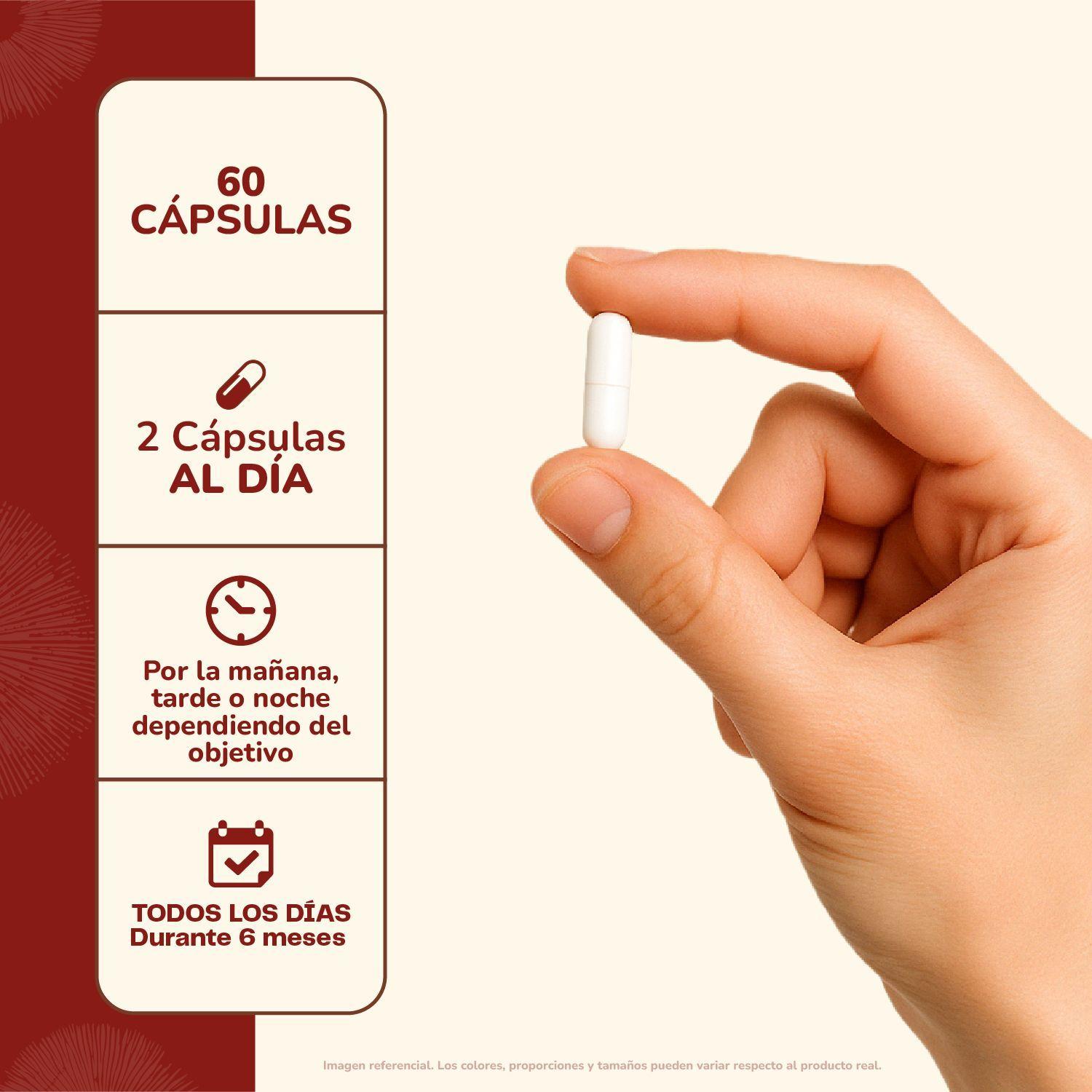 Pack 180 Capsulas: Melena De Leon - Reishi - Cola De Pavo Karun Life-9