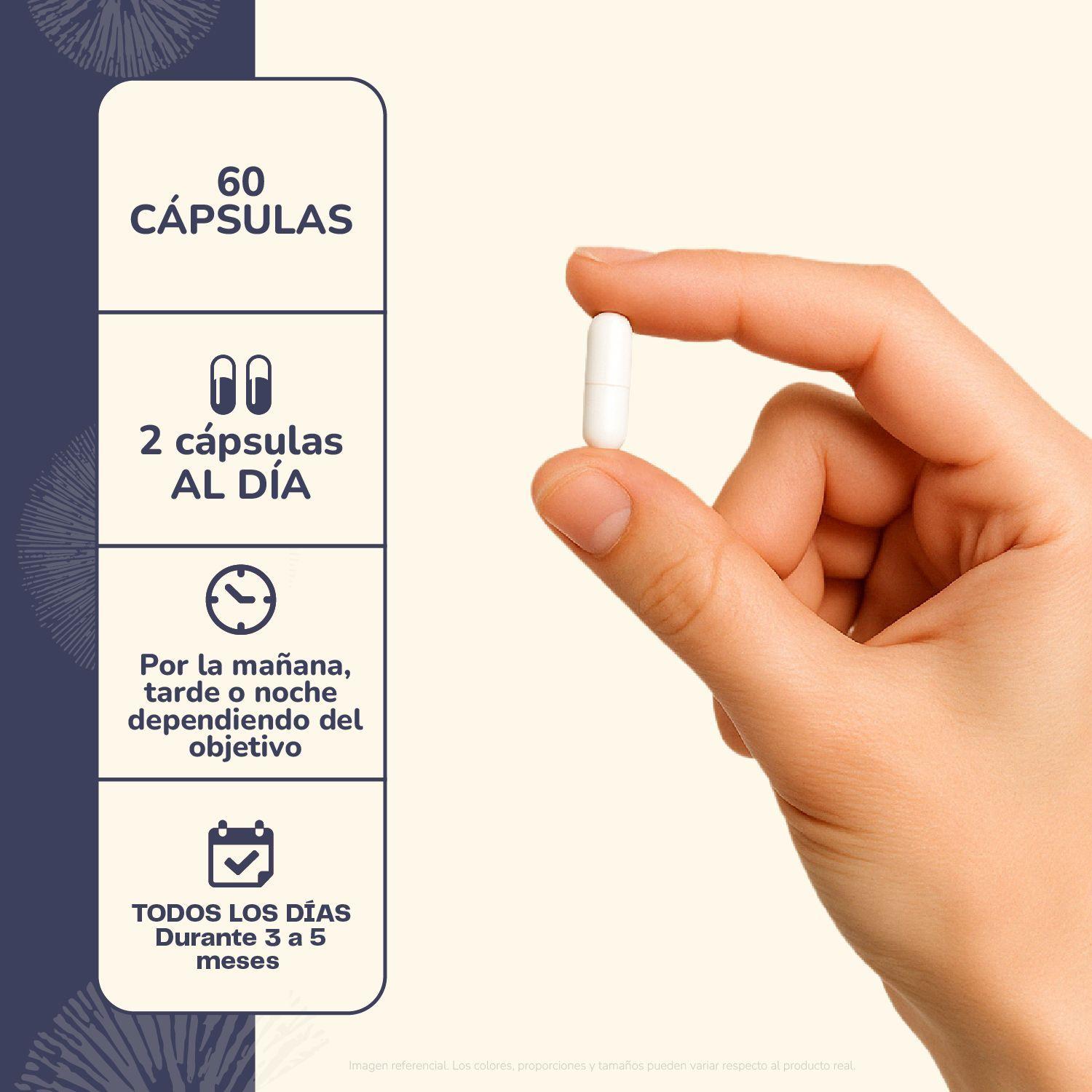 Pack 180 Capsulas: Melena De Leon - Reishi - Cola De Pavo Karun Life-10