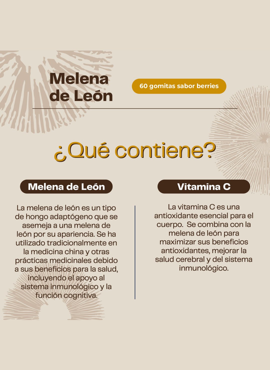 Pack Doble Melena De León Hongo 120 Gomitas Karun Life-2