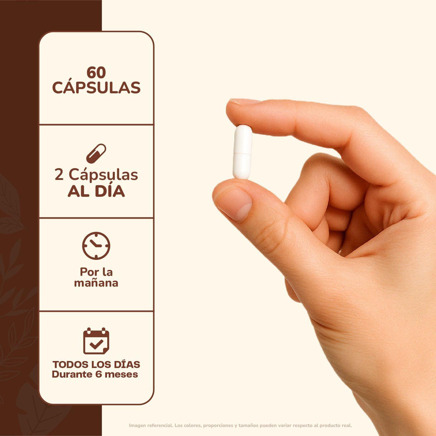 Pack Vitalidad Total Cordyceps + Melena León + Citrato de Magnesio 210 capsulas Karun Life-8