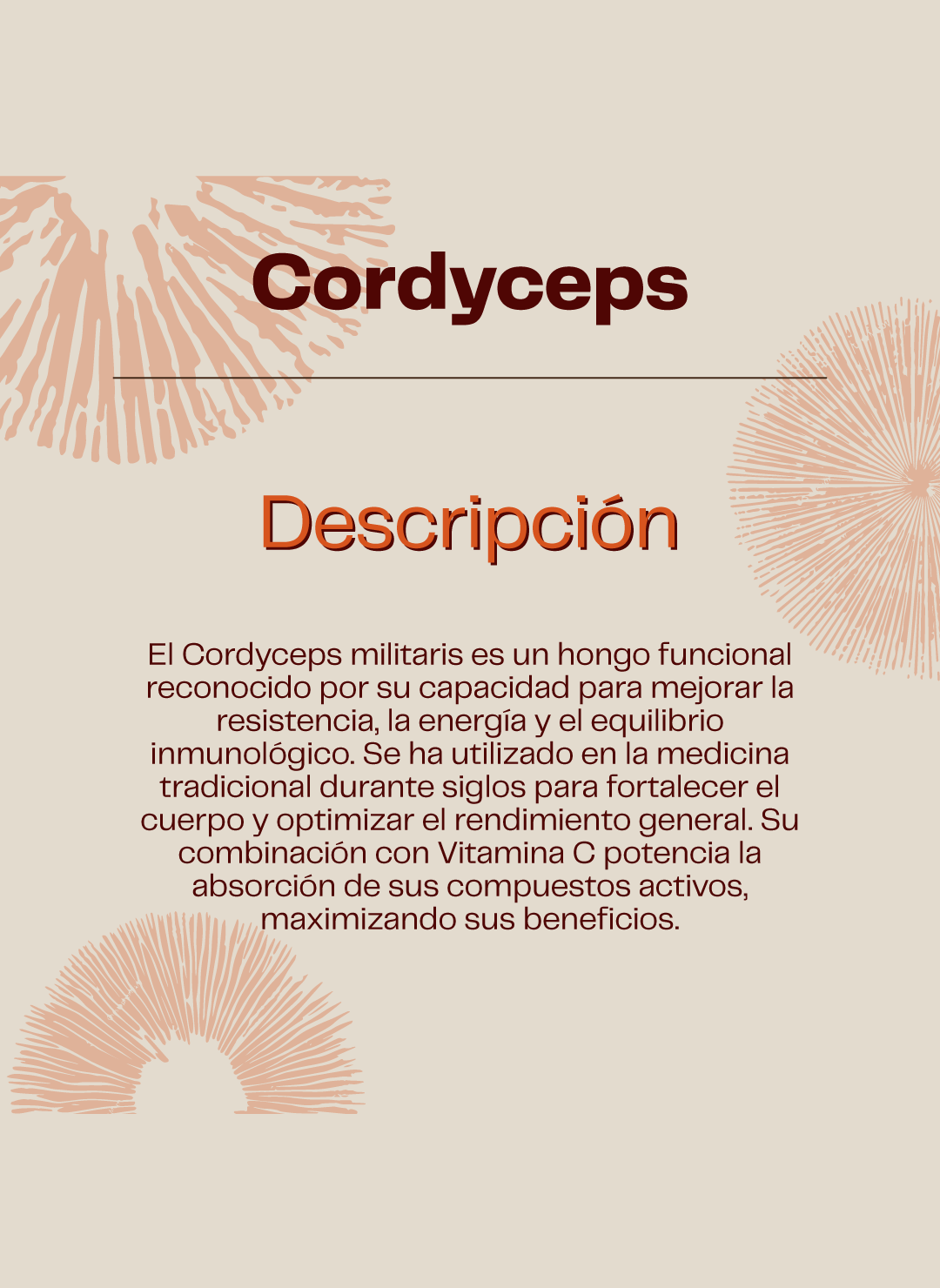 Cordyceps Hongo 760mg - 60 Cap - Energía- Karun Life-2