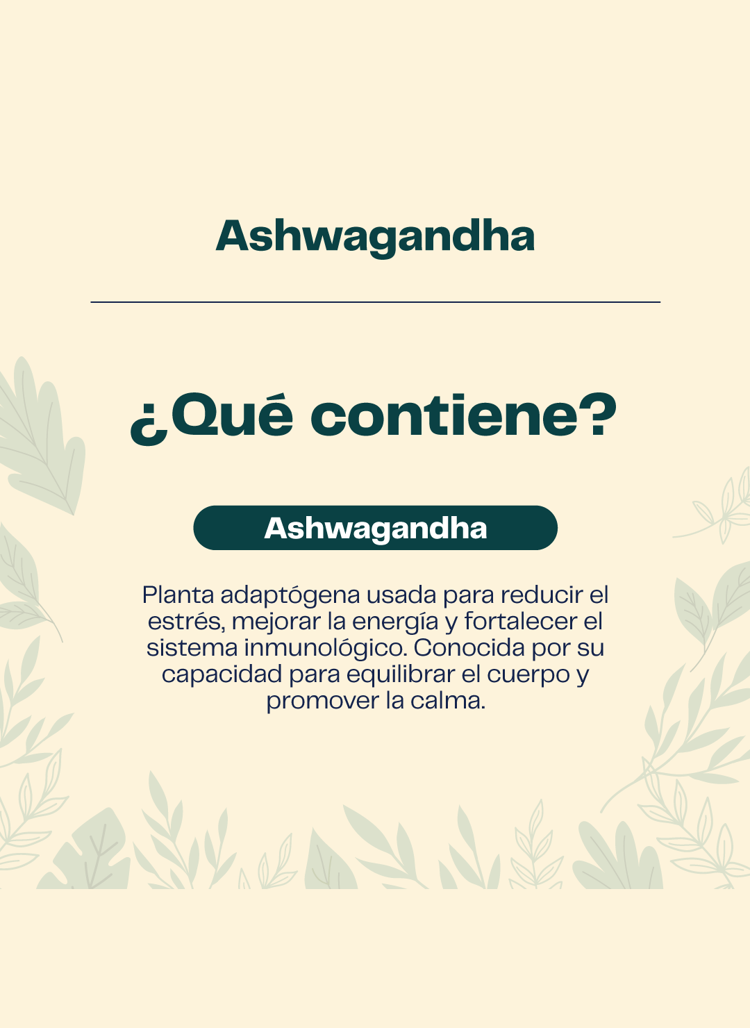 Ashwagandha Doble Extracto Gotas 30 Ml Karun Life-2