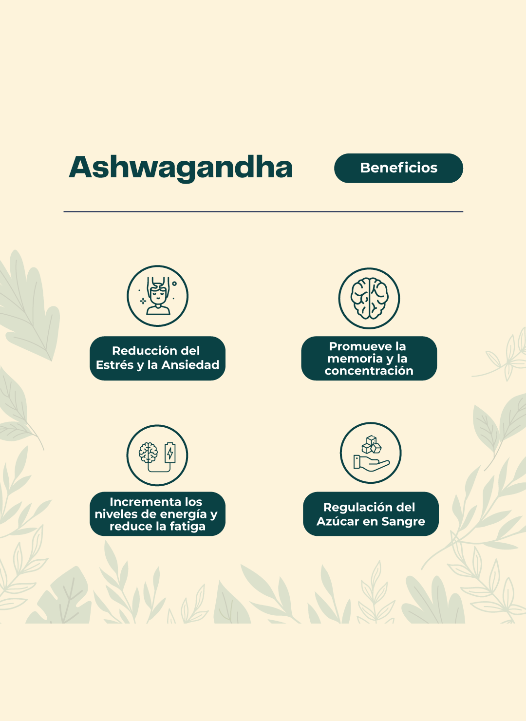 Ashwagandha Doble Extracto Gotas 30 Ml Karun Life-3