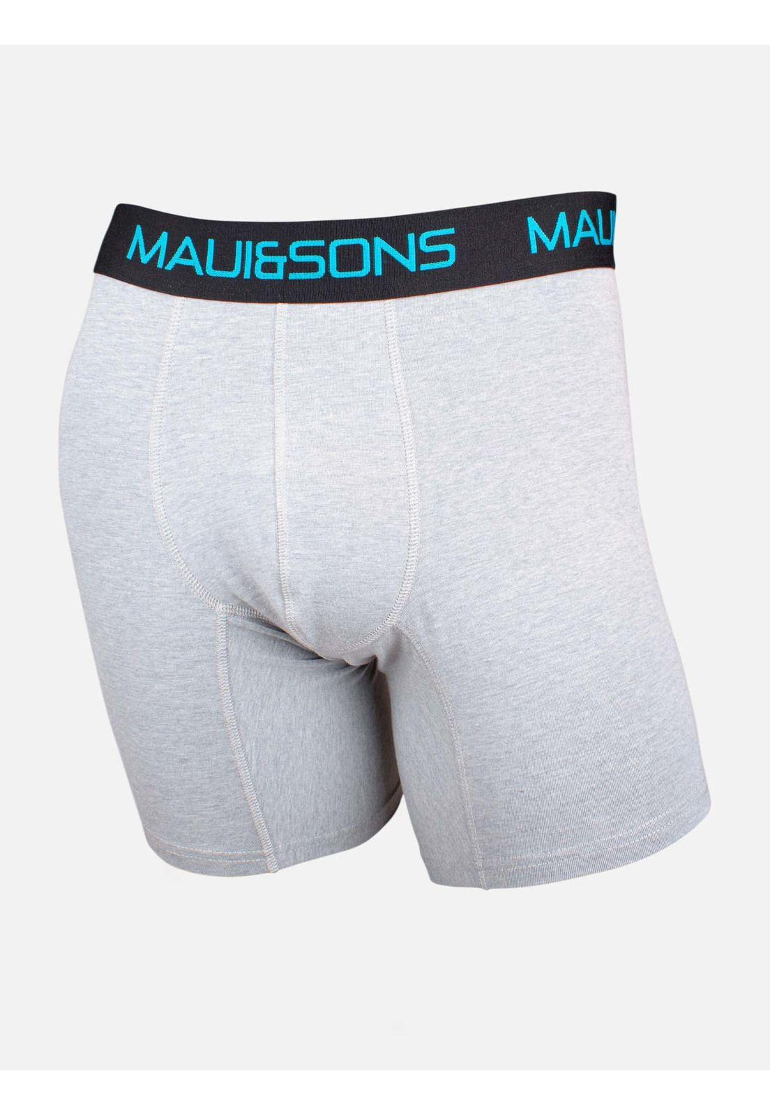 Boxer Mel  Maui And Sons-0