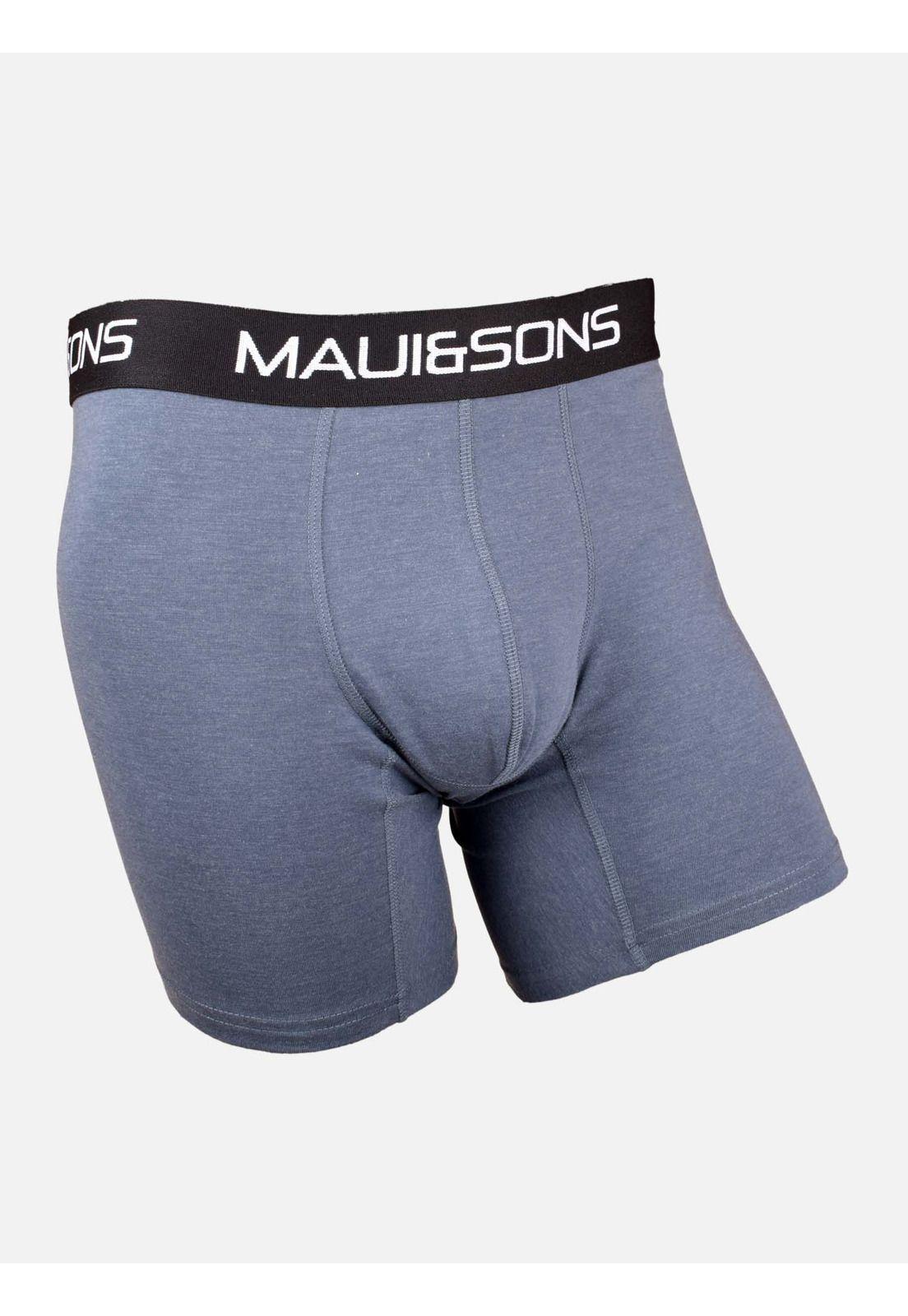 Boxer Palm Rush Azul Hombre Maui and Sons-0