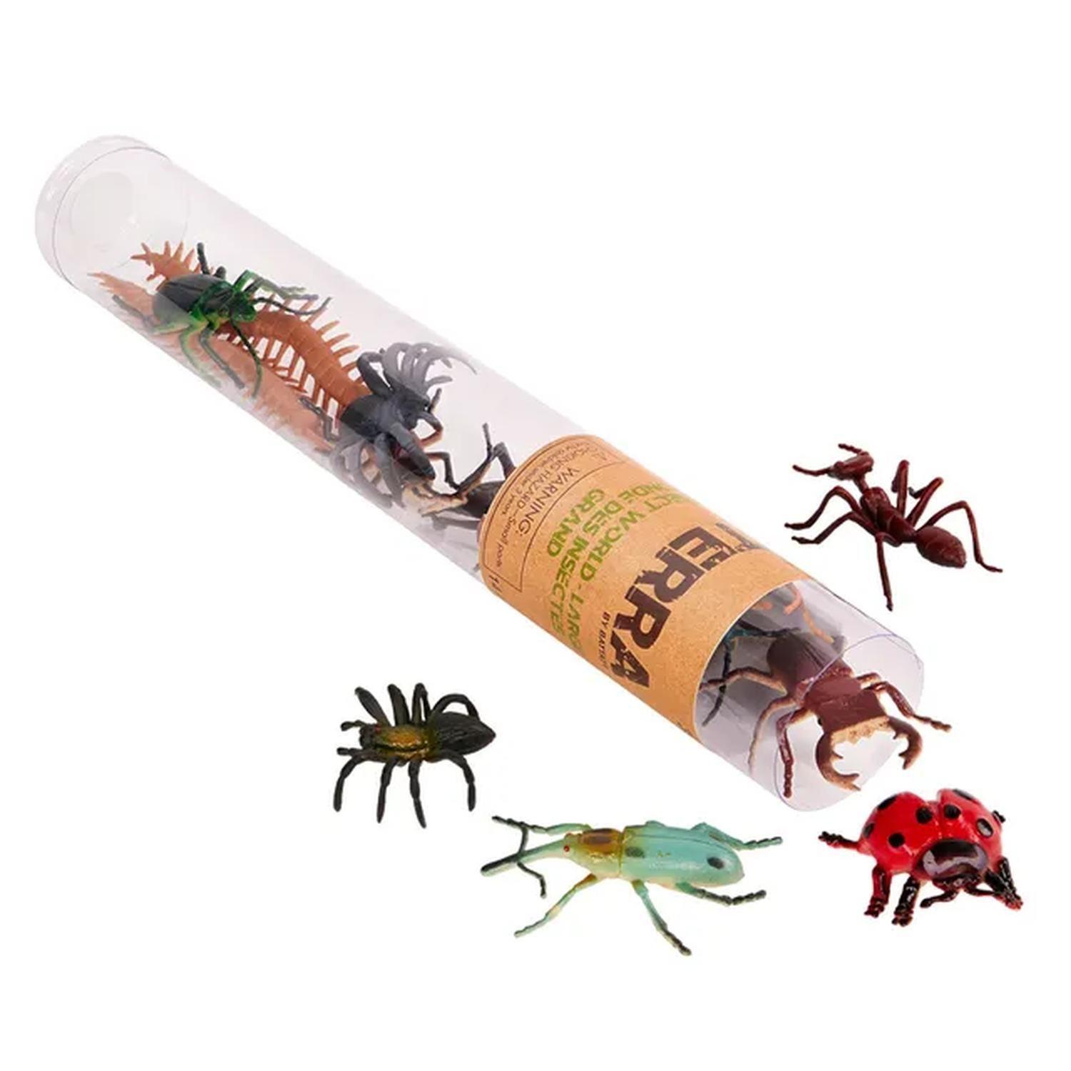 Set Insectos del mundo 14 pcs-3