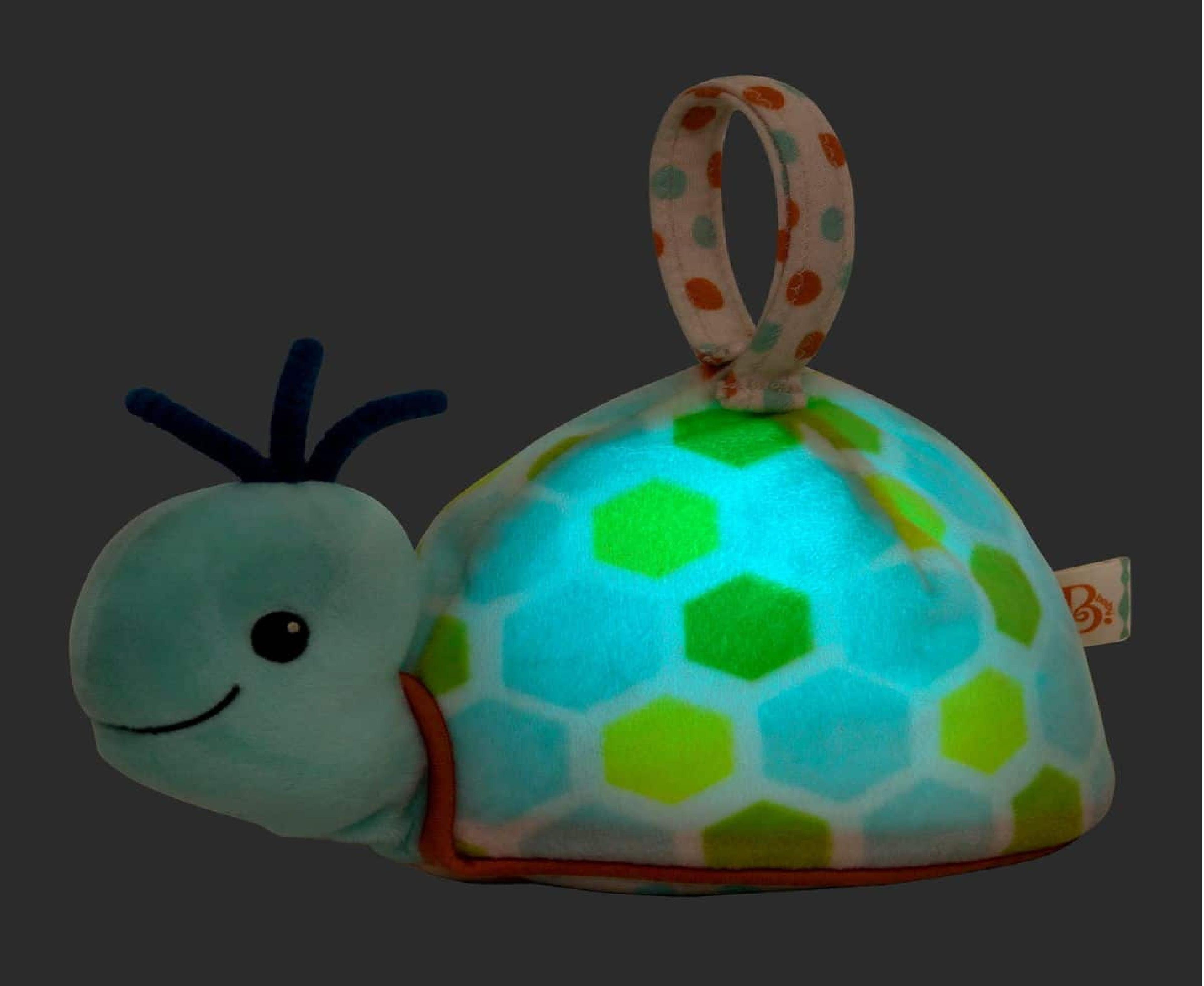 Tortuga con brillos-1