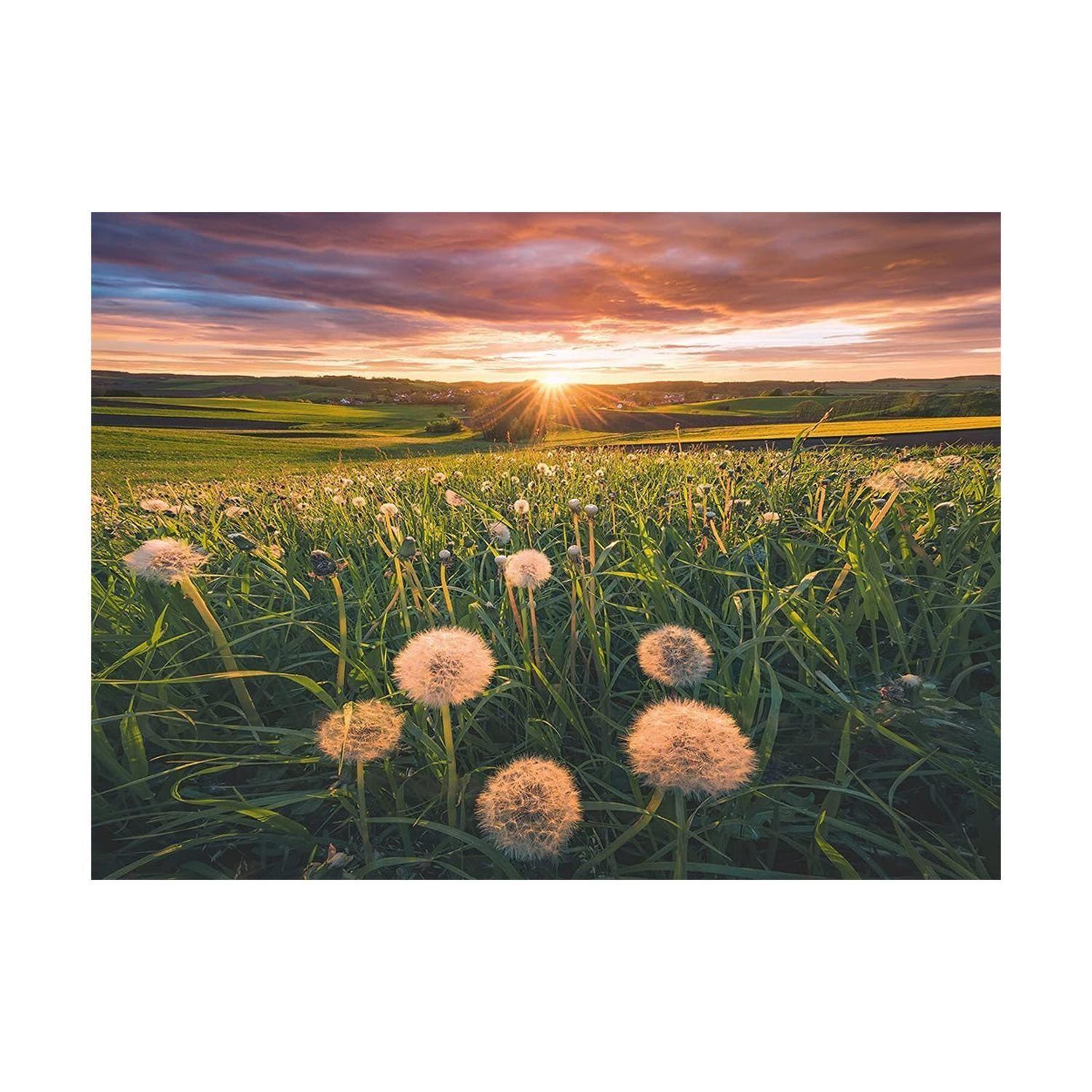 Puzzle Atardecer en Dandelion - 500 piezas-1