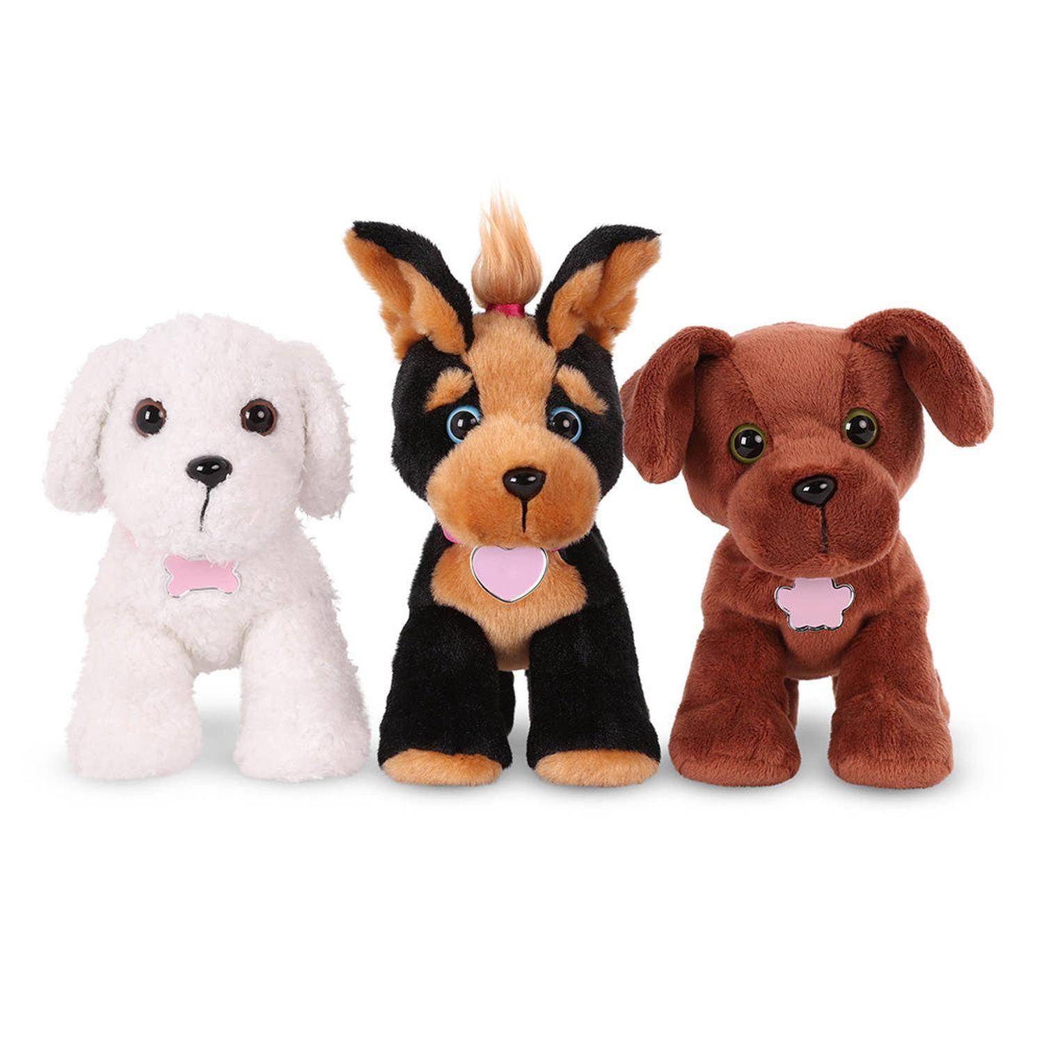 Adopta 3 perros - Bichon Frise, Yorkshire Terrier & Labrador chocolate-3