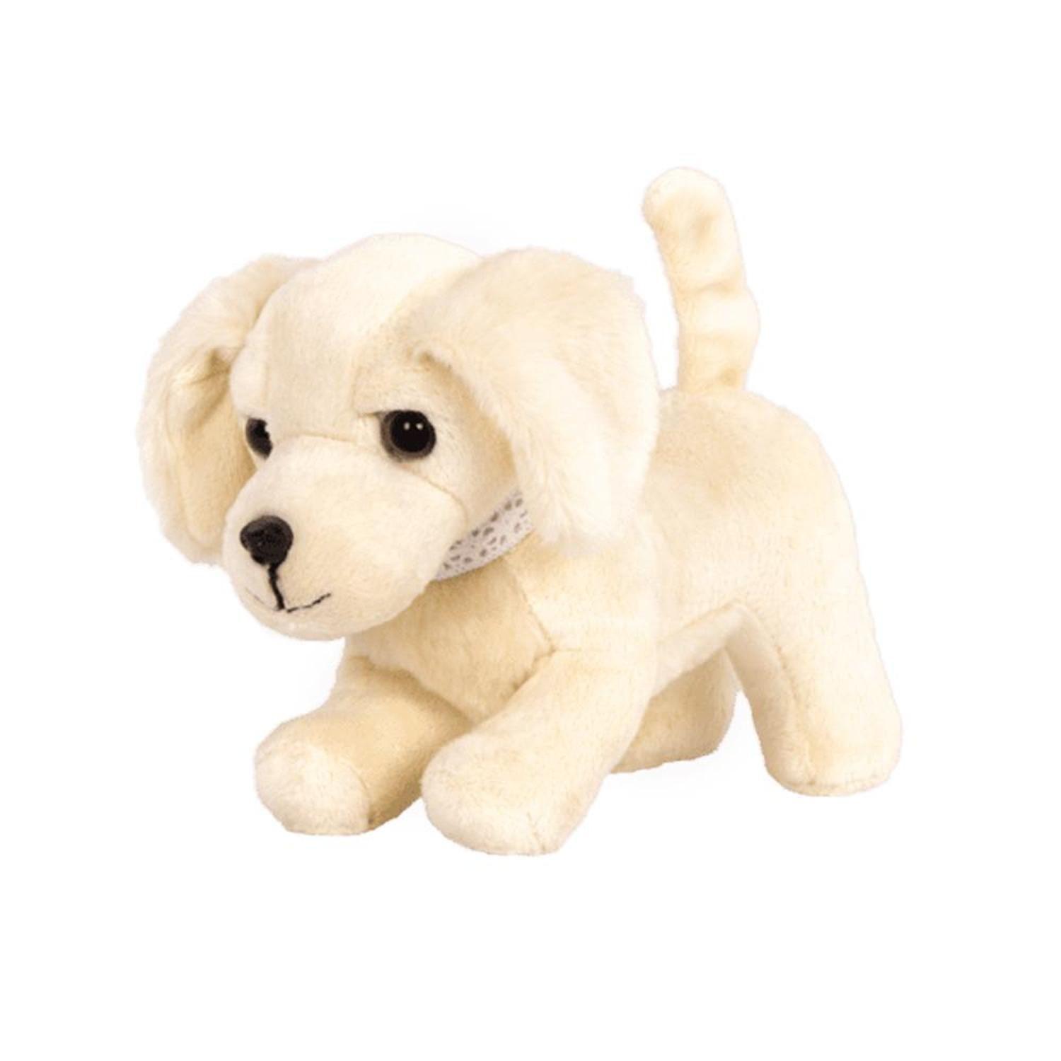 Cachorro Golden Retriever-1
