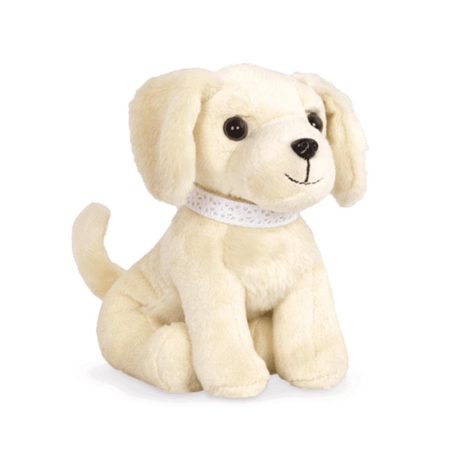 Cachorro Golden Retriever-3