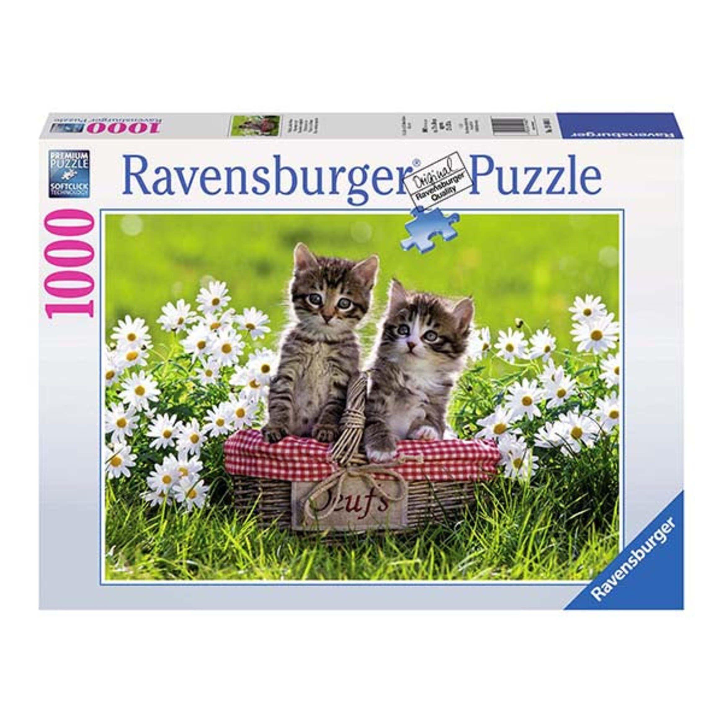 Puzzle Picnic - 1000 piezas-0
