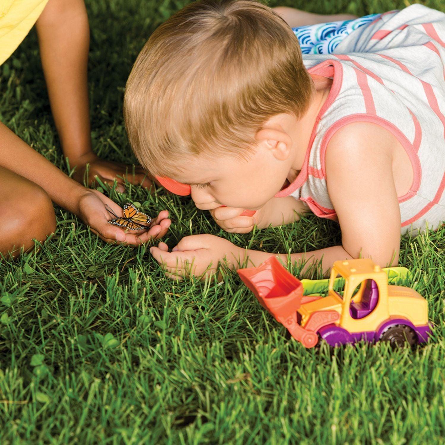 Kit de Exploración de Insectos-3