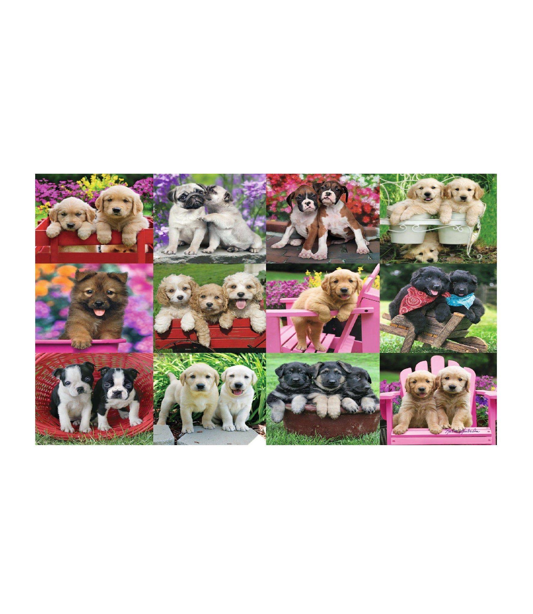 Puzzle Cachorros - 500 piezas-1