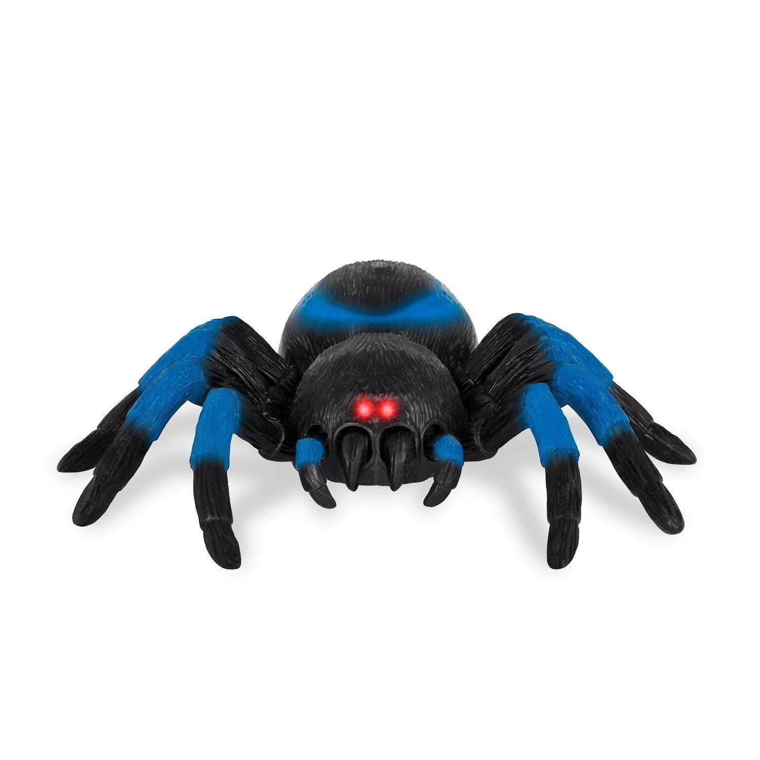 Tarántula azul a control remoto-1