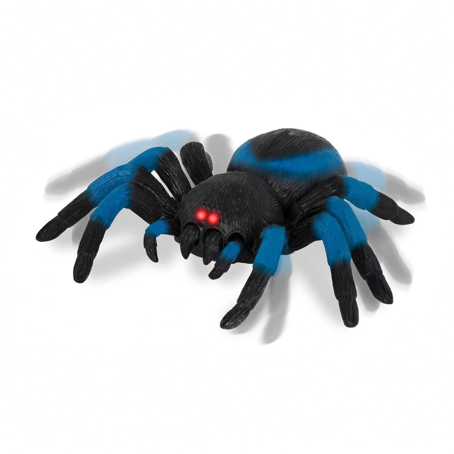 Tarántula azul a control remoto-2