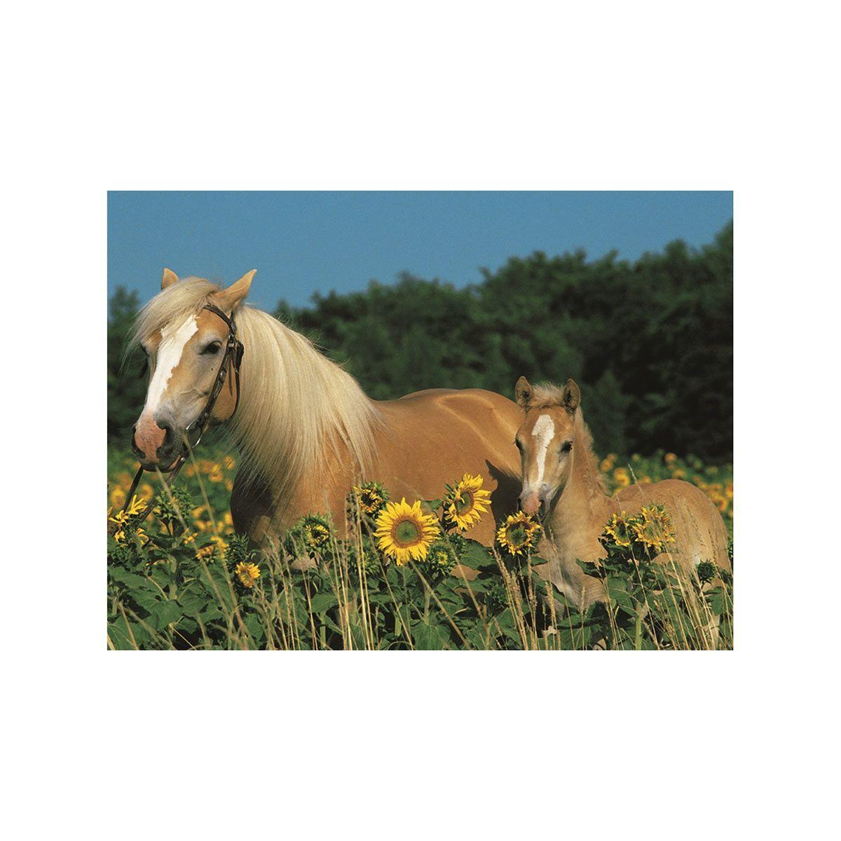 Puzzle XXL Caballos felices - 200 piezas-1