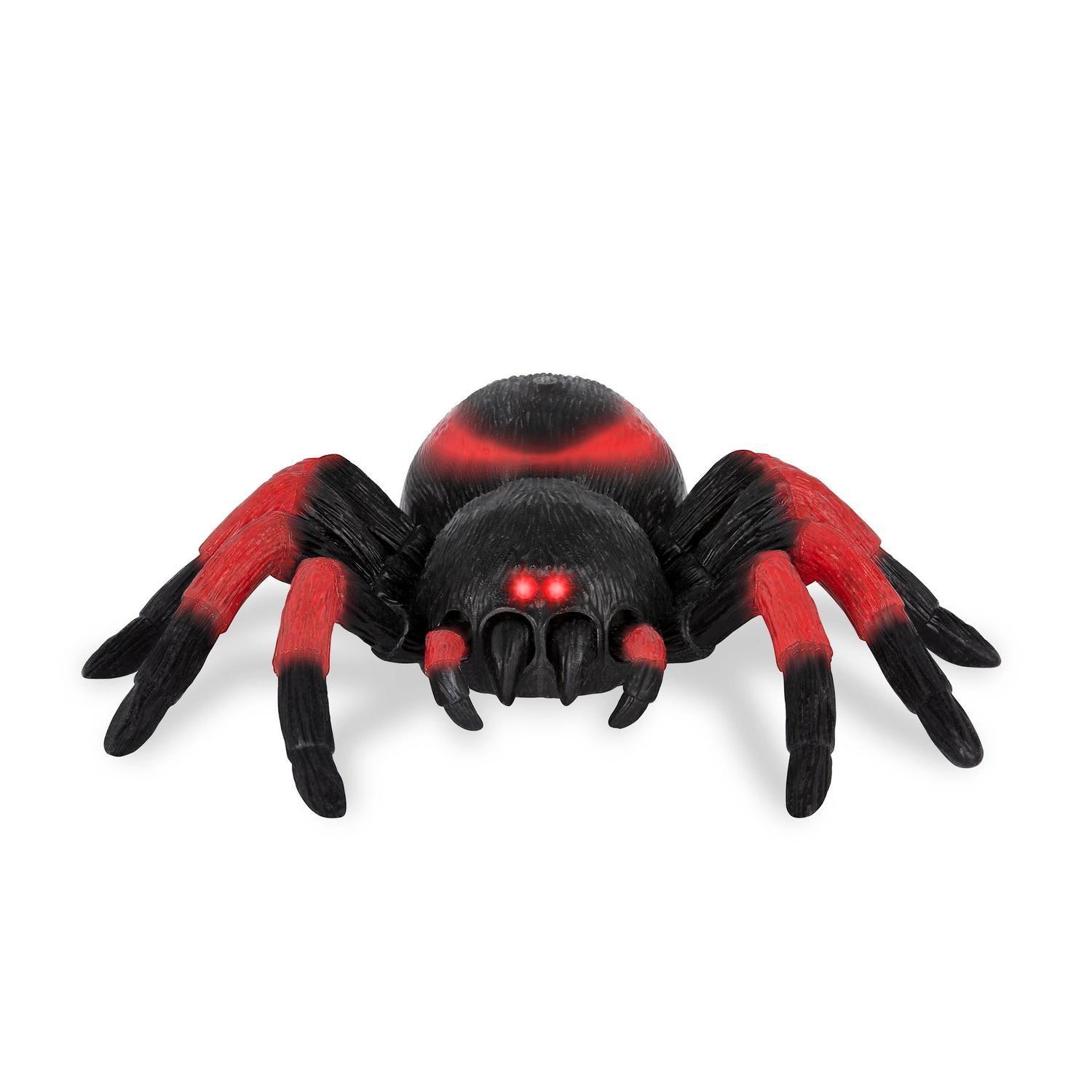 Tarántula a control remoto-2