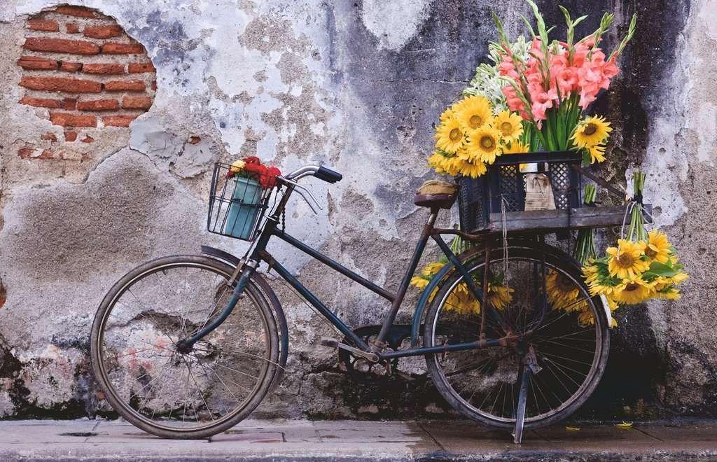 Puzzle Bicicleta - 200 piezas-1