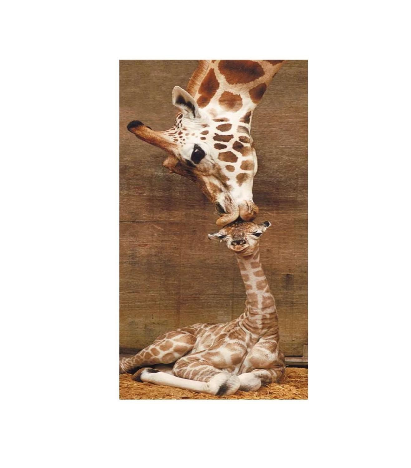 Puzzle panorámico - El primer beso-1