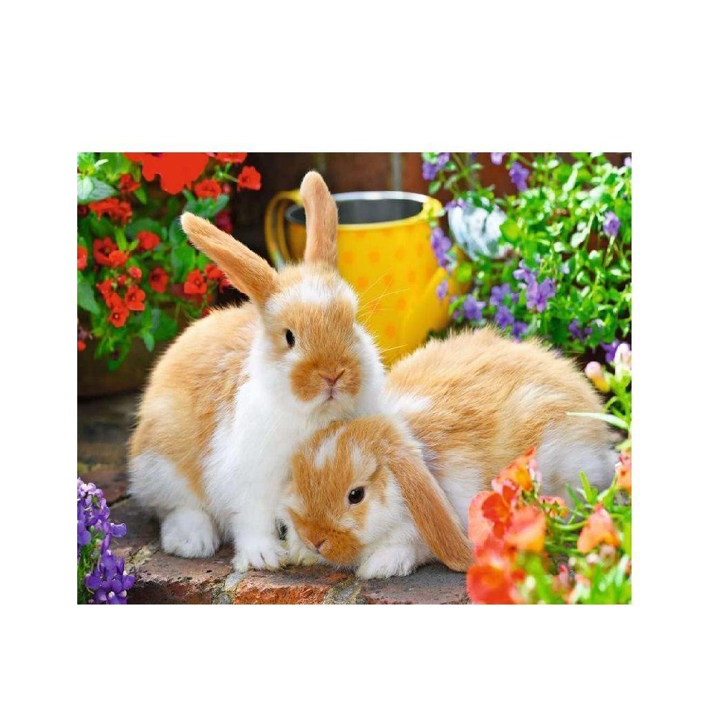 Puzzle Abrazo de animales - 2x12-2